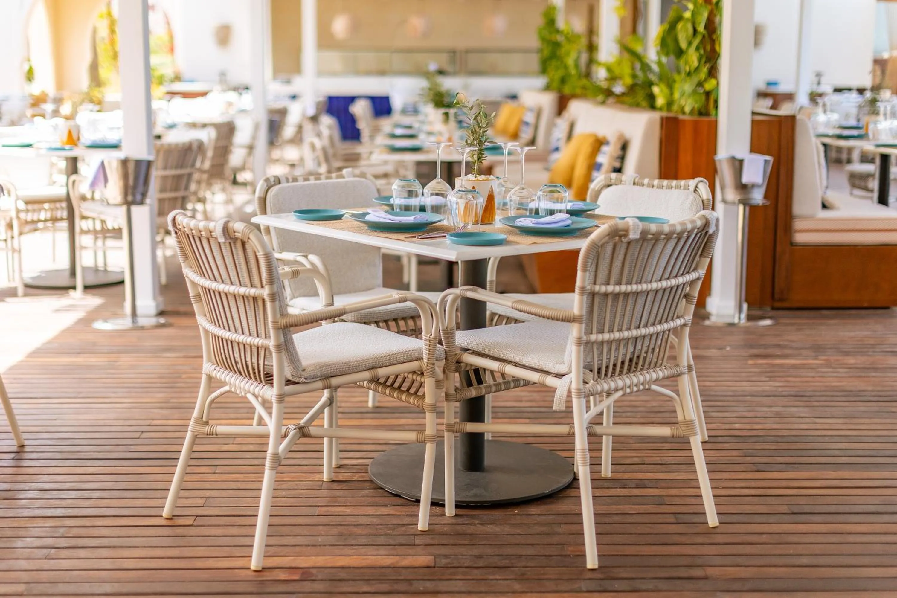 Restaurant/places to eat in Four Seasons Hotel Tunis