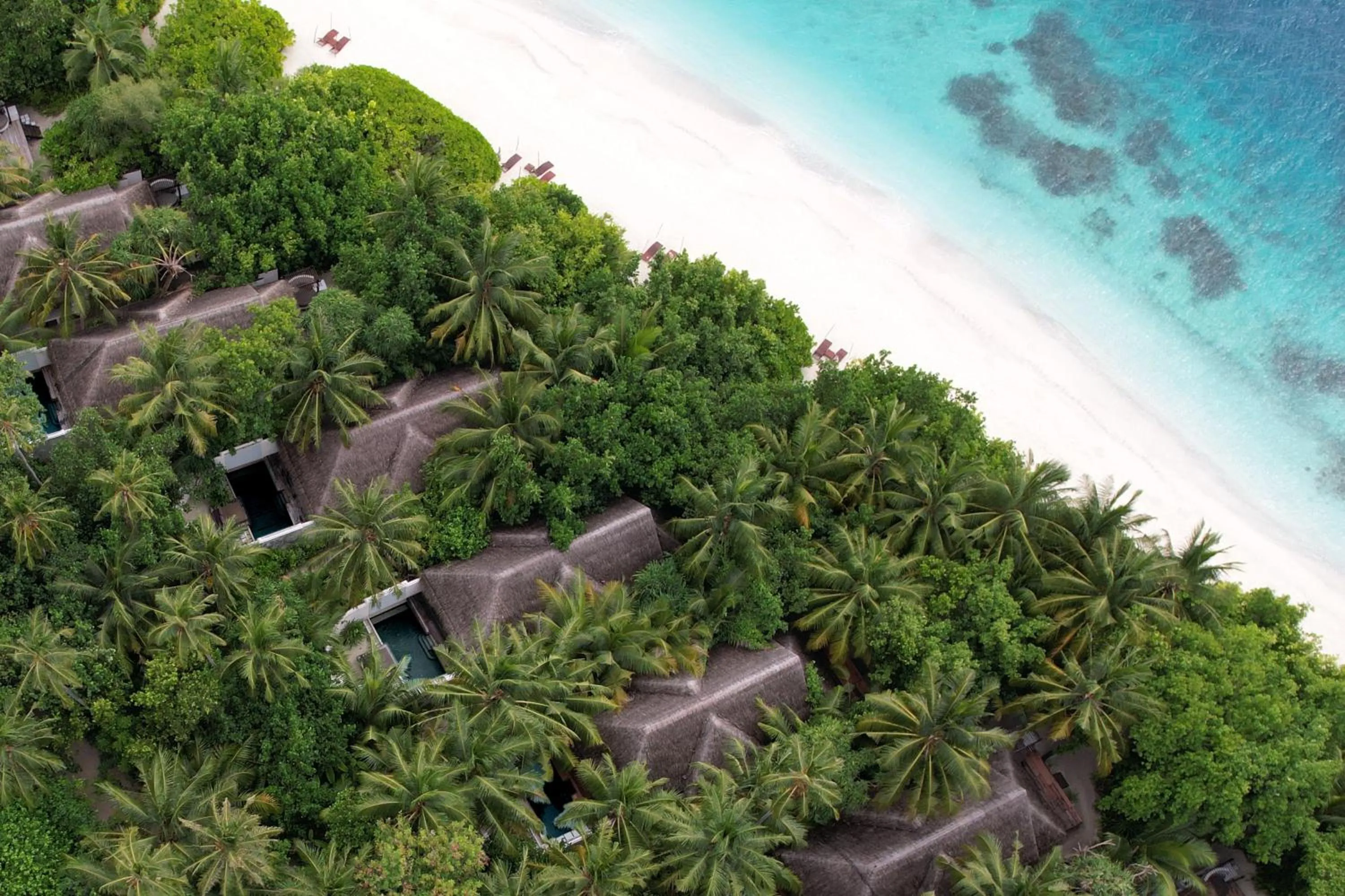 Natural landscape in Coco Bodu Hithi - 50 percent off shared roundtrip Speedboat for stays from 1 Sep to 23 Dec 2025