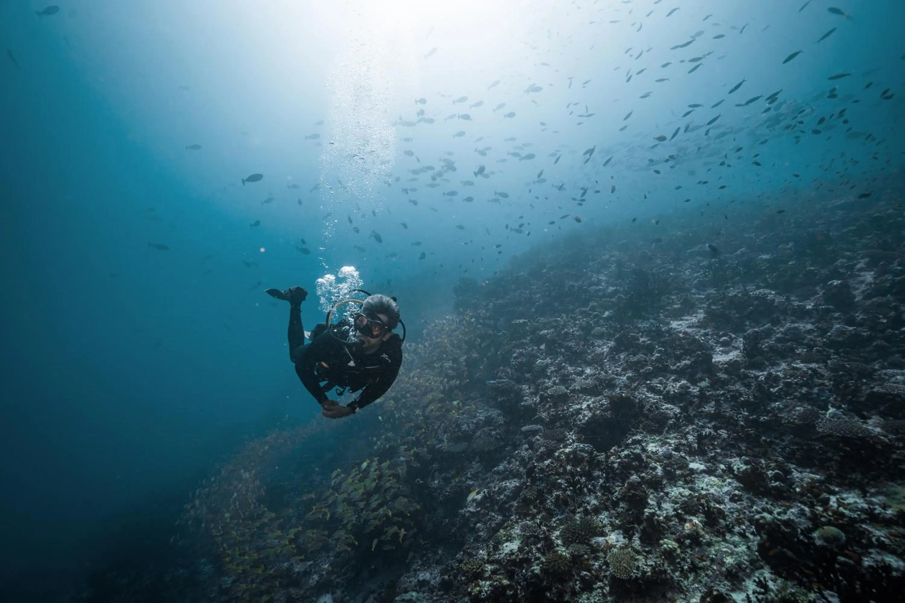 Activities in Coco Bodu Hithi - 50 percent off shared roundtrip Speedboat for stays from 1 Sep to 23 Dec 2025