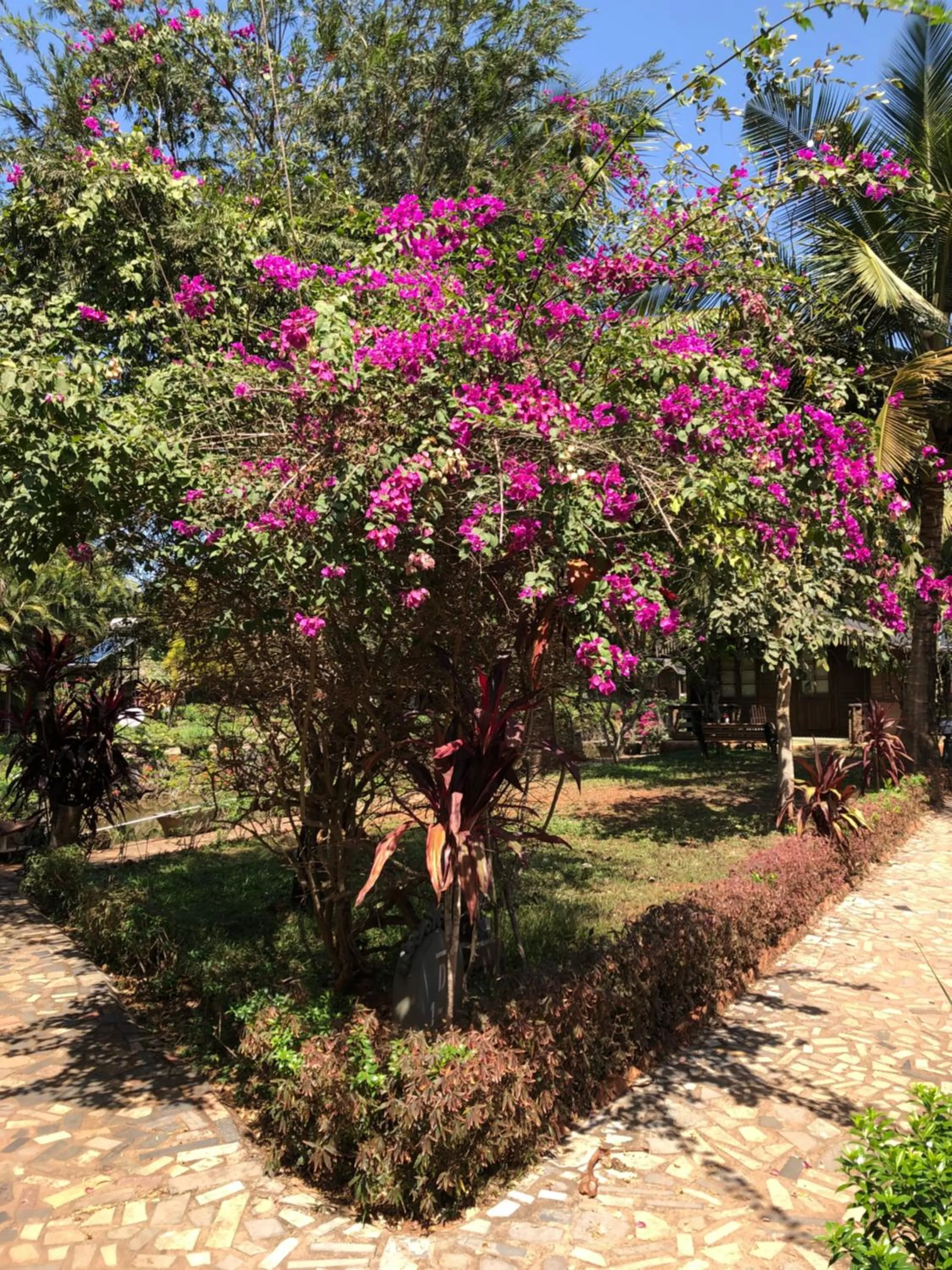 Garden in Resort Primo Bom Terra Verde