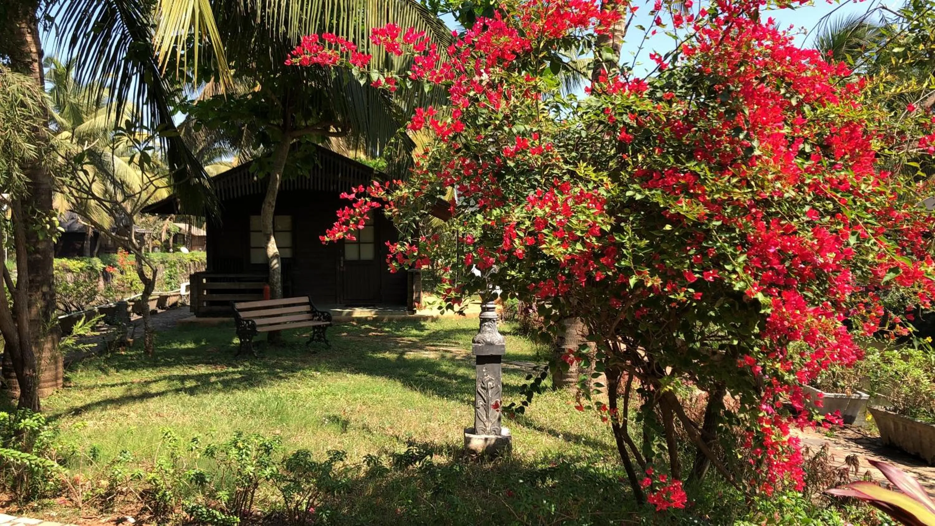 Garden in Resort Primo Bom Terra Verde