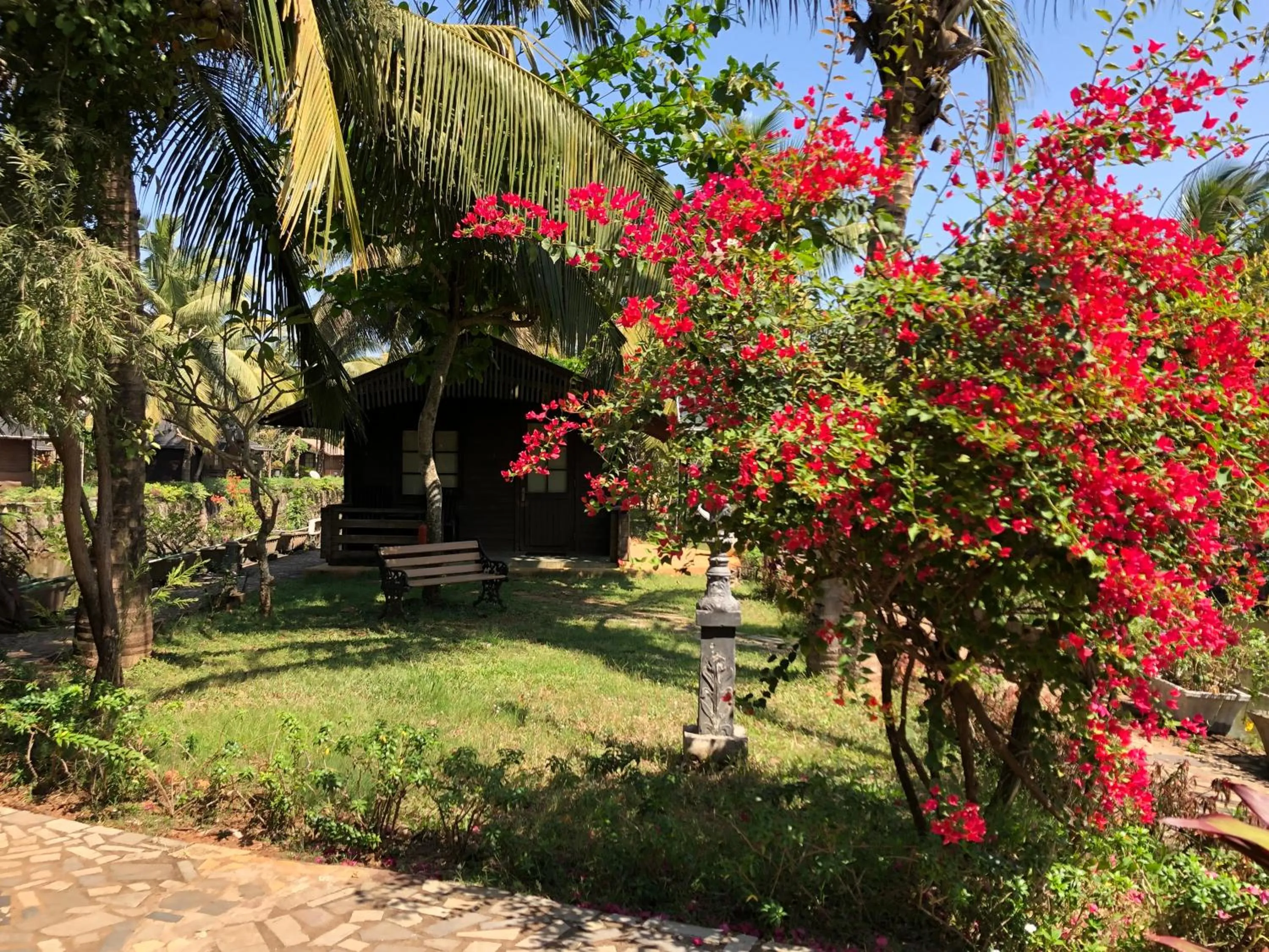 Garden in Resort Primo Bom Terra Verde
