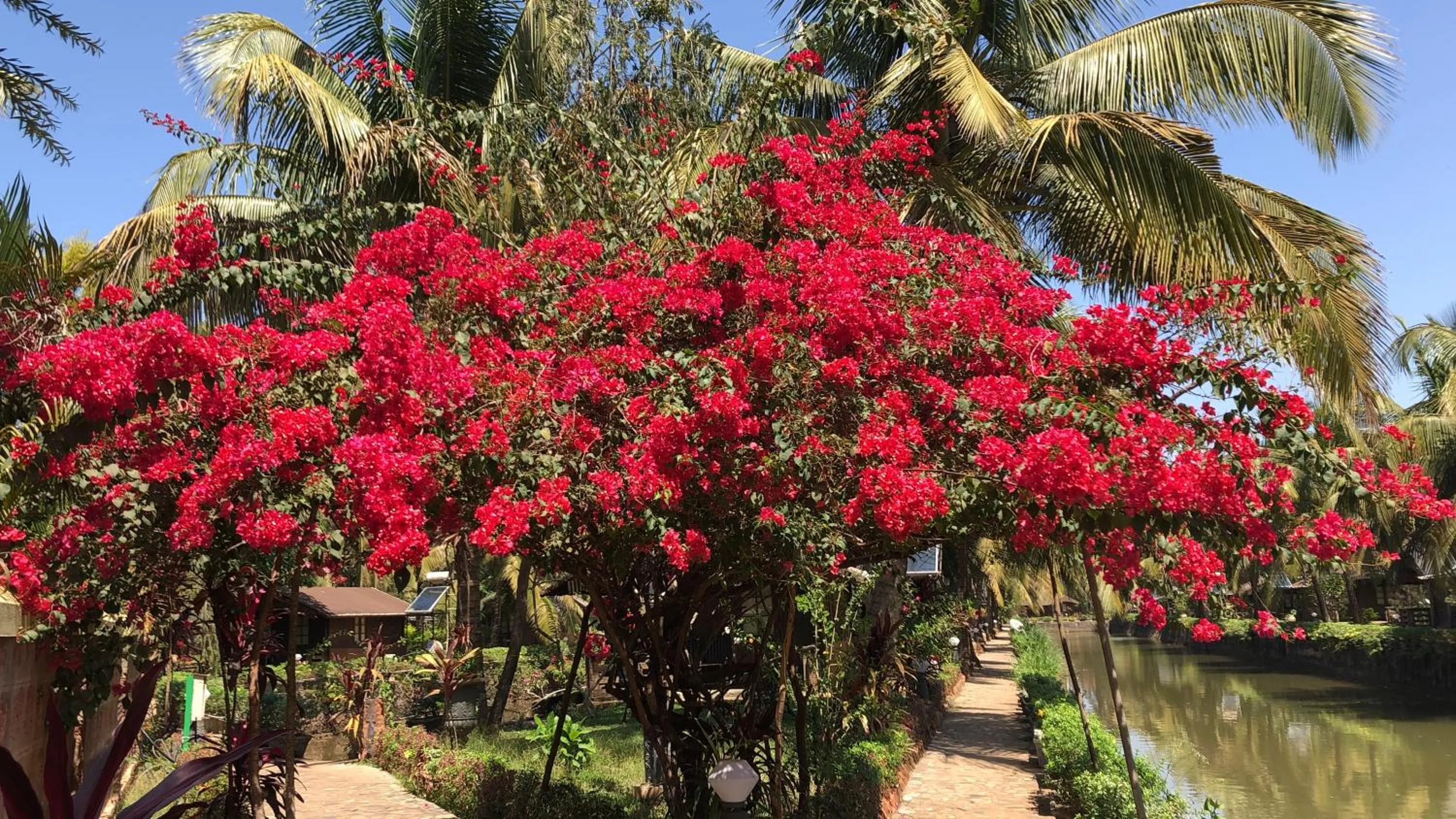 Garden in Resort Primo Bom Terra Verde