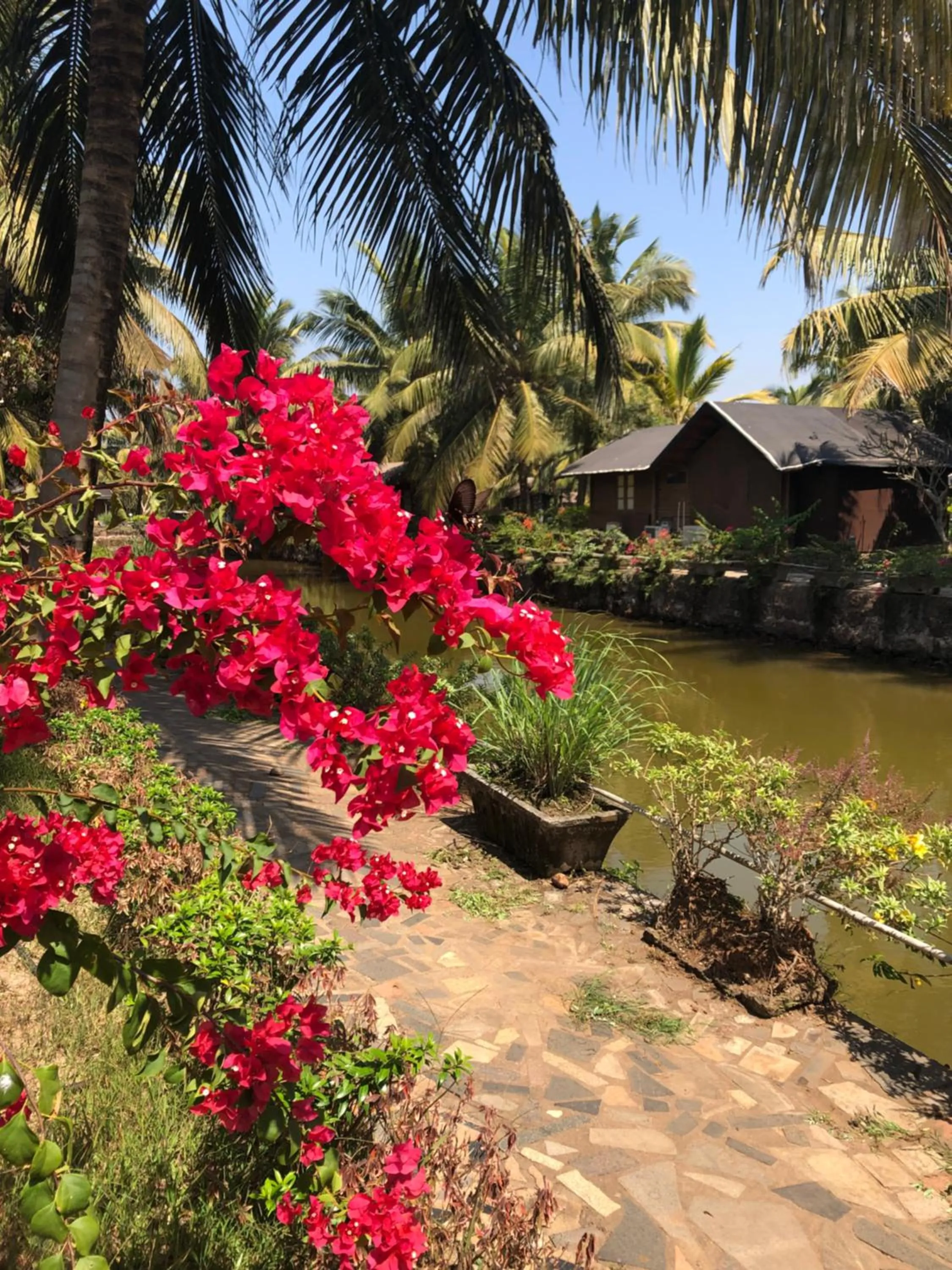 Garden in Resort Primo Bom Terra Verde