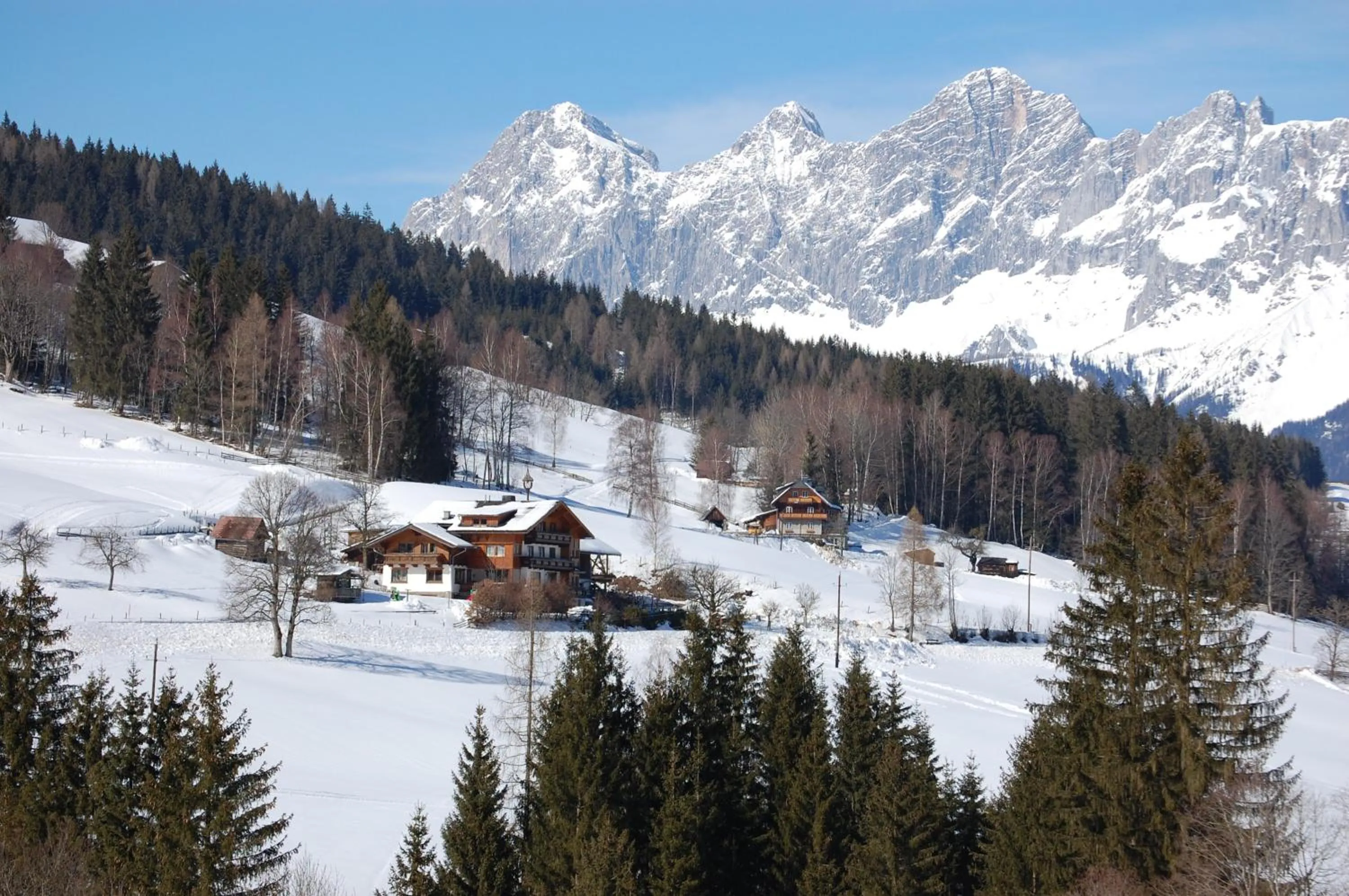 Hocheggerhof - Urlaub am Bauernhof