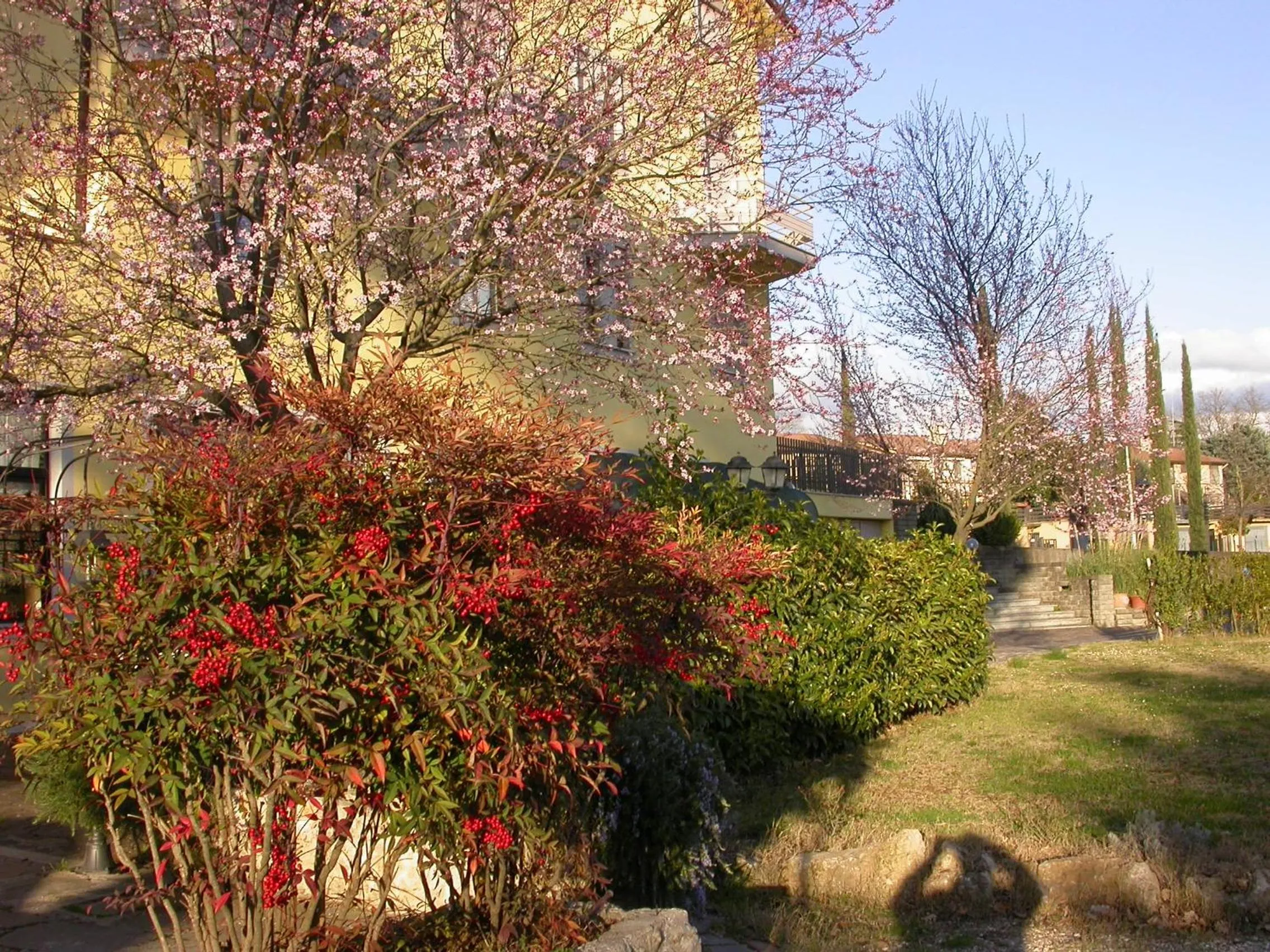 View (from property/room) in Hotel Il Roscio