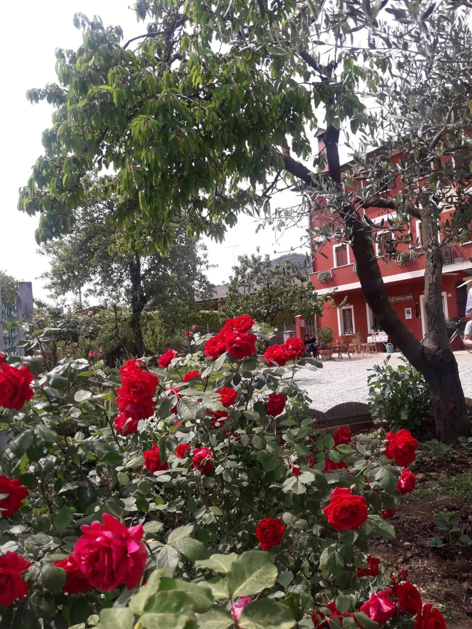 Garden in B&B Casa del Conte