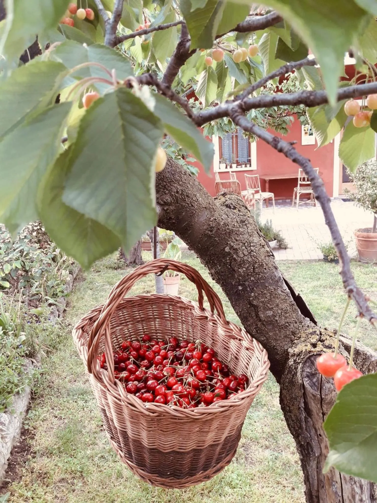 Garden in B&B Casa del Conte