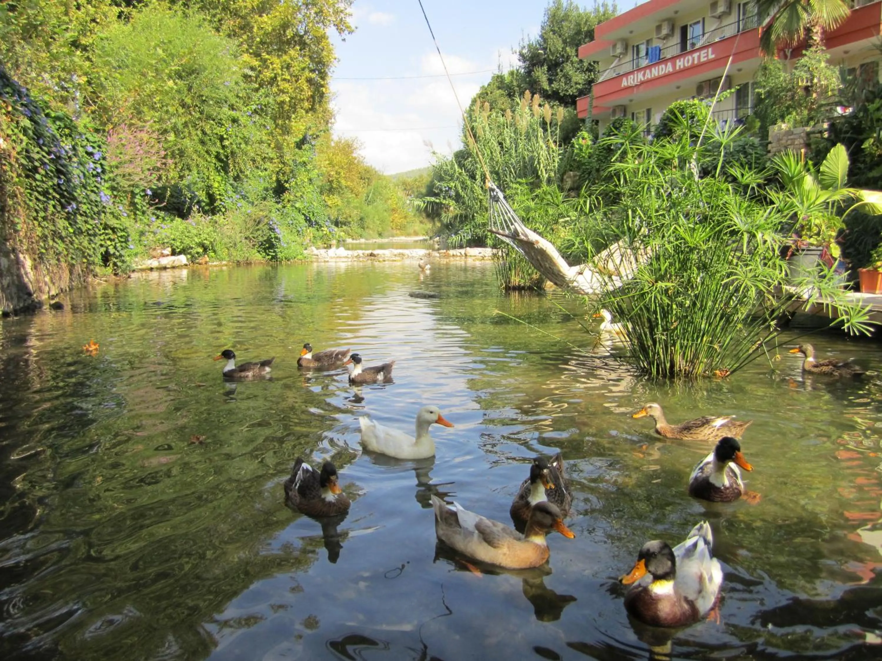 Garden in Arikanda River Garden Hotel