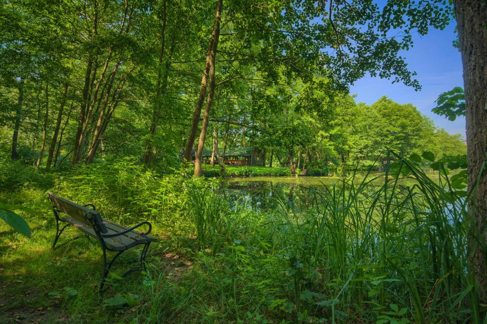 Other in Hotel Dworek Wapionka