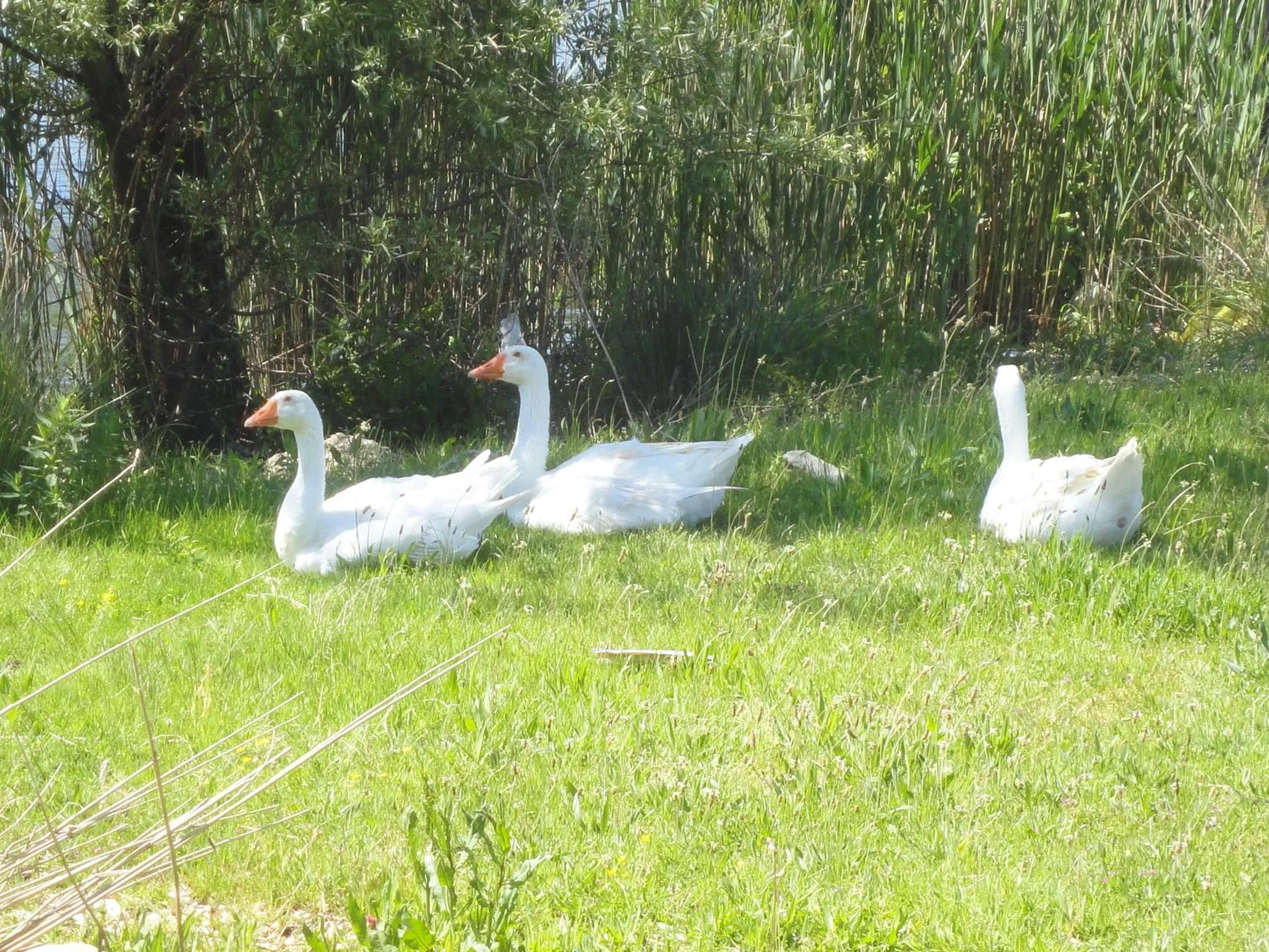 Activities in Anemolia Resort and Spa