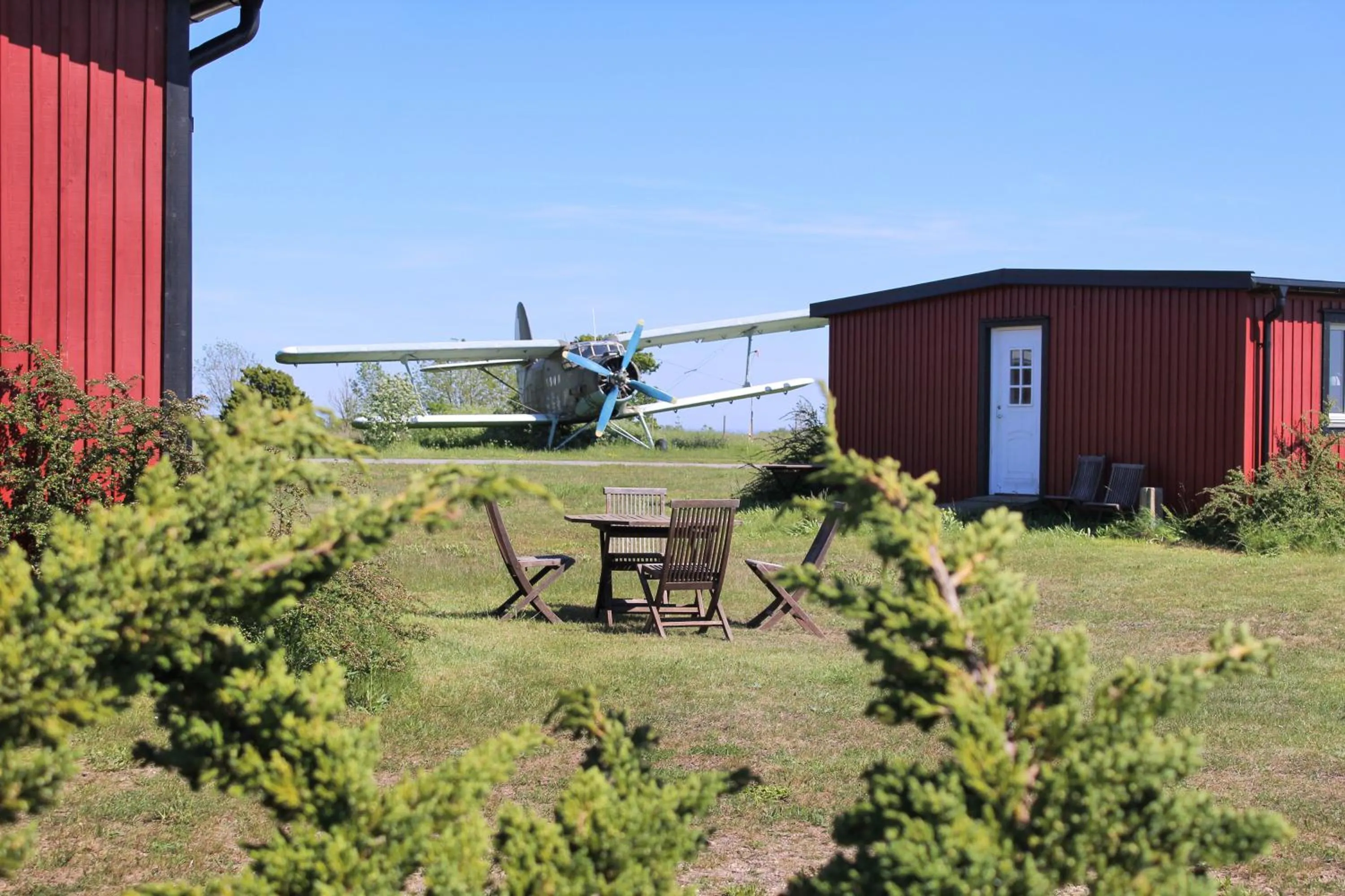 Garden in STF Bunge Hostel
