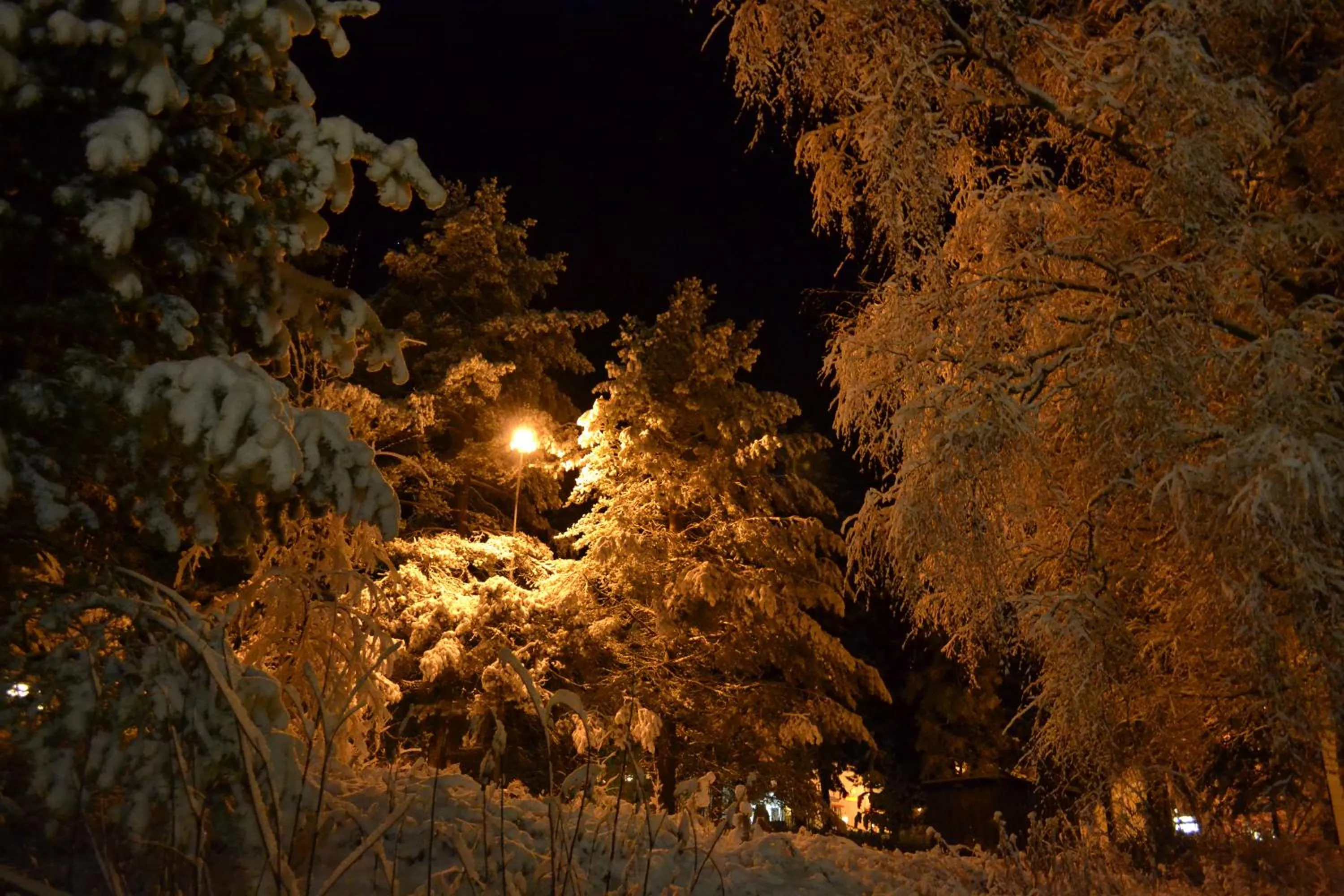 Property building in Södra Bergets Vandrarhem
