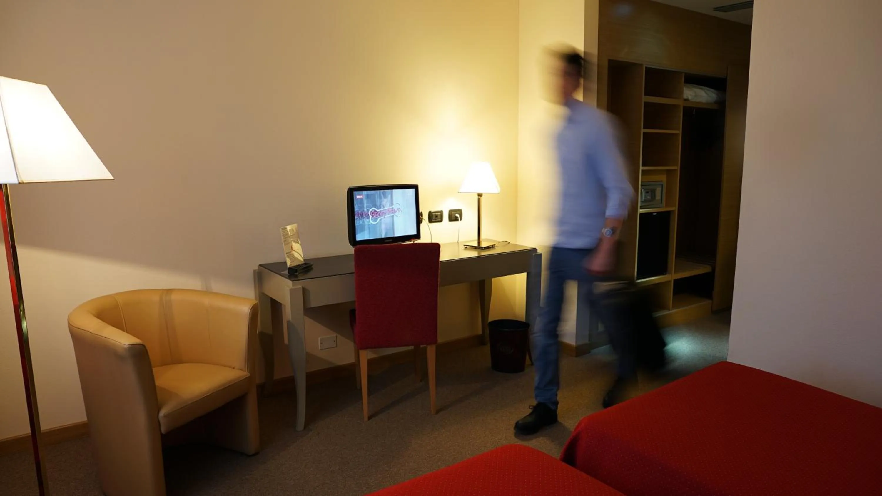 TV and multimedia in Garden Hotel