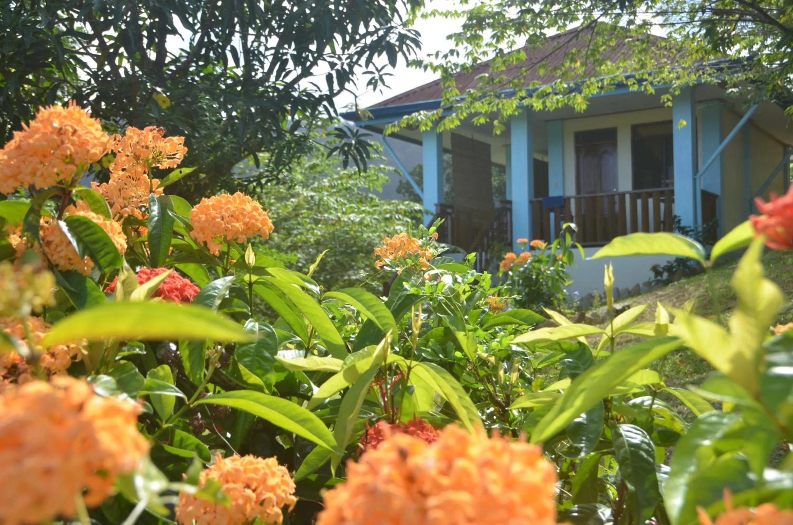 Garden view in Santa Claus Hilltop