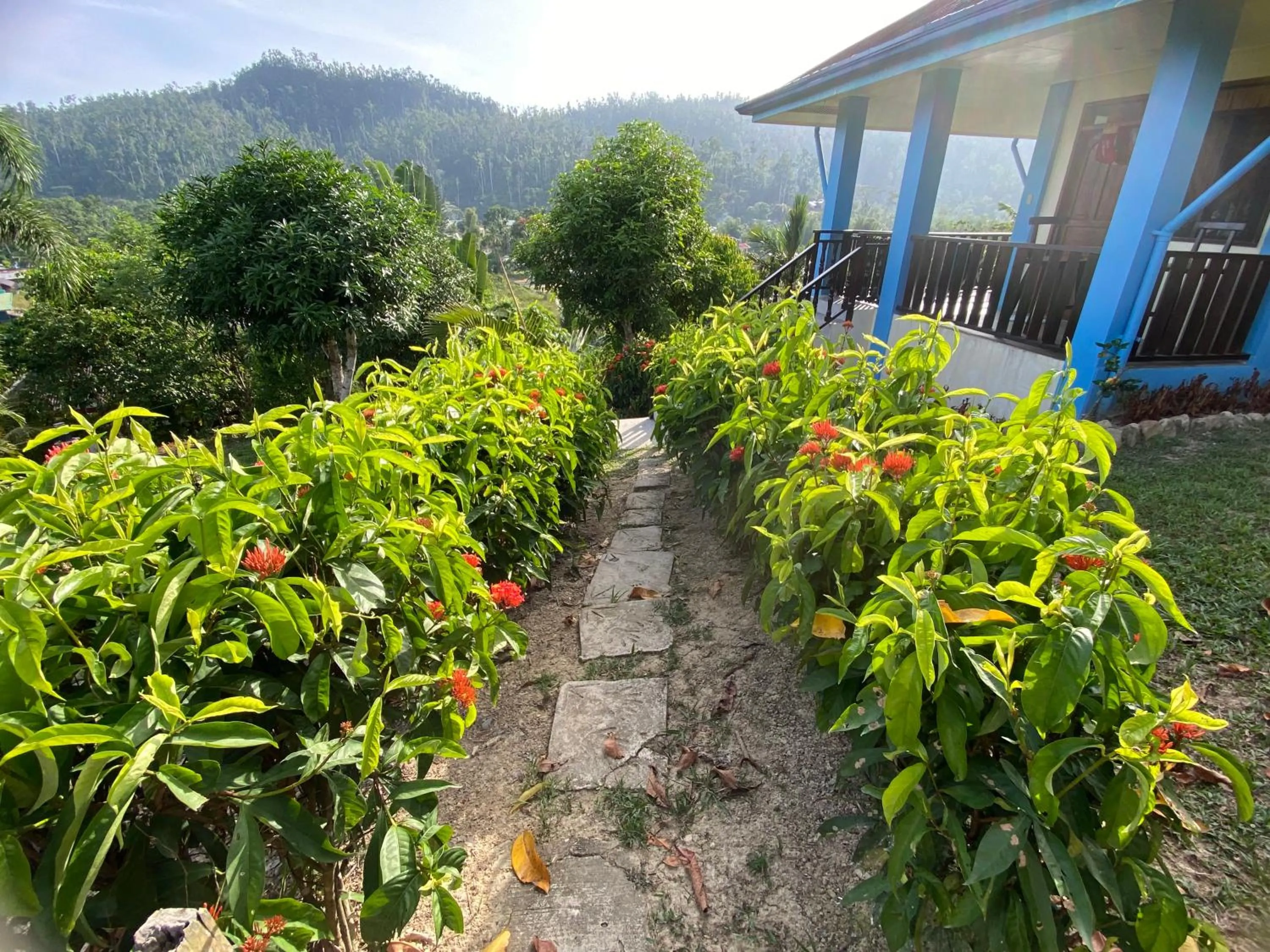 Garden in Santa Claus Hilltop