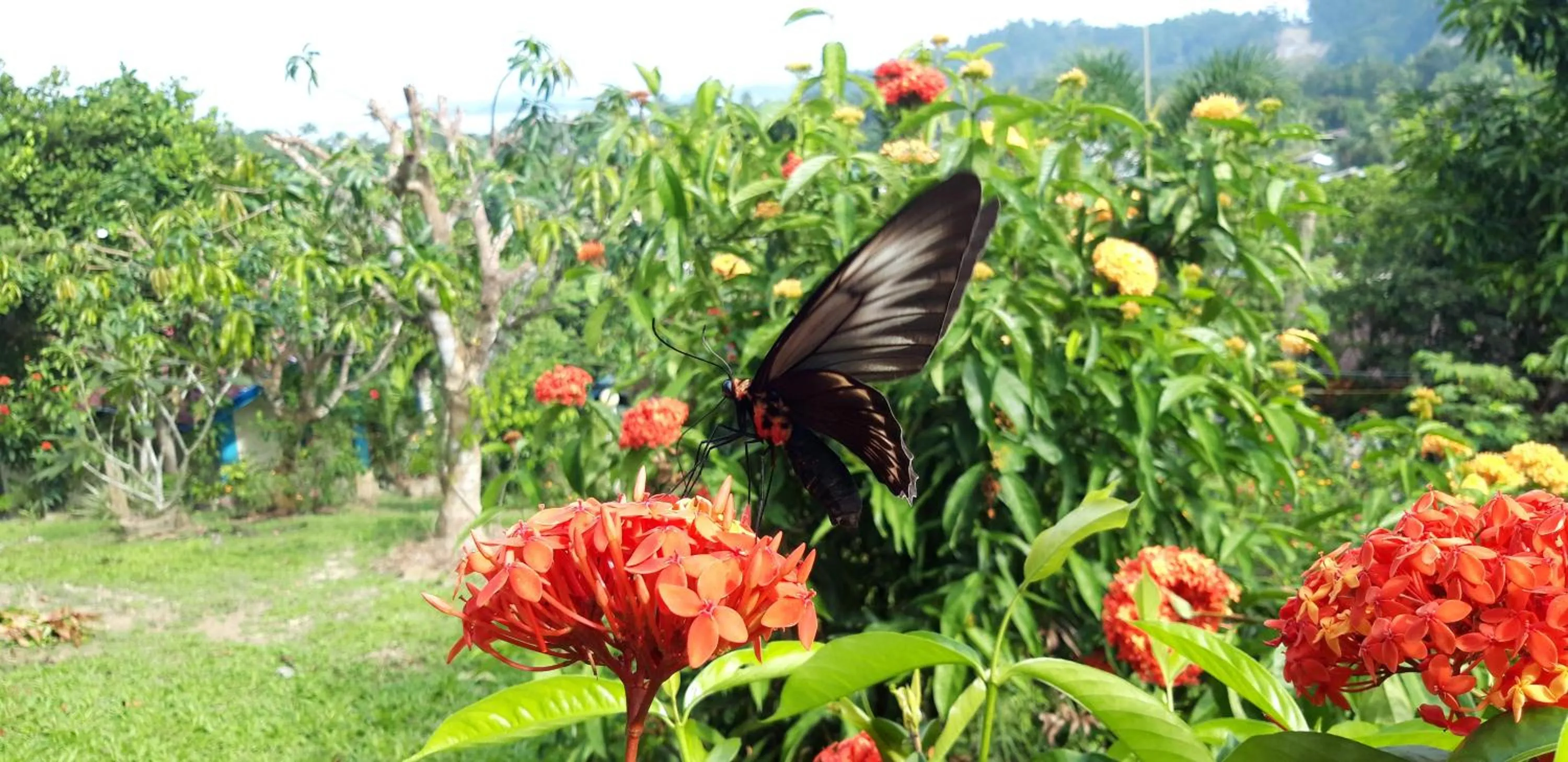 Natural landscape in Santa Claus Hilltop