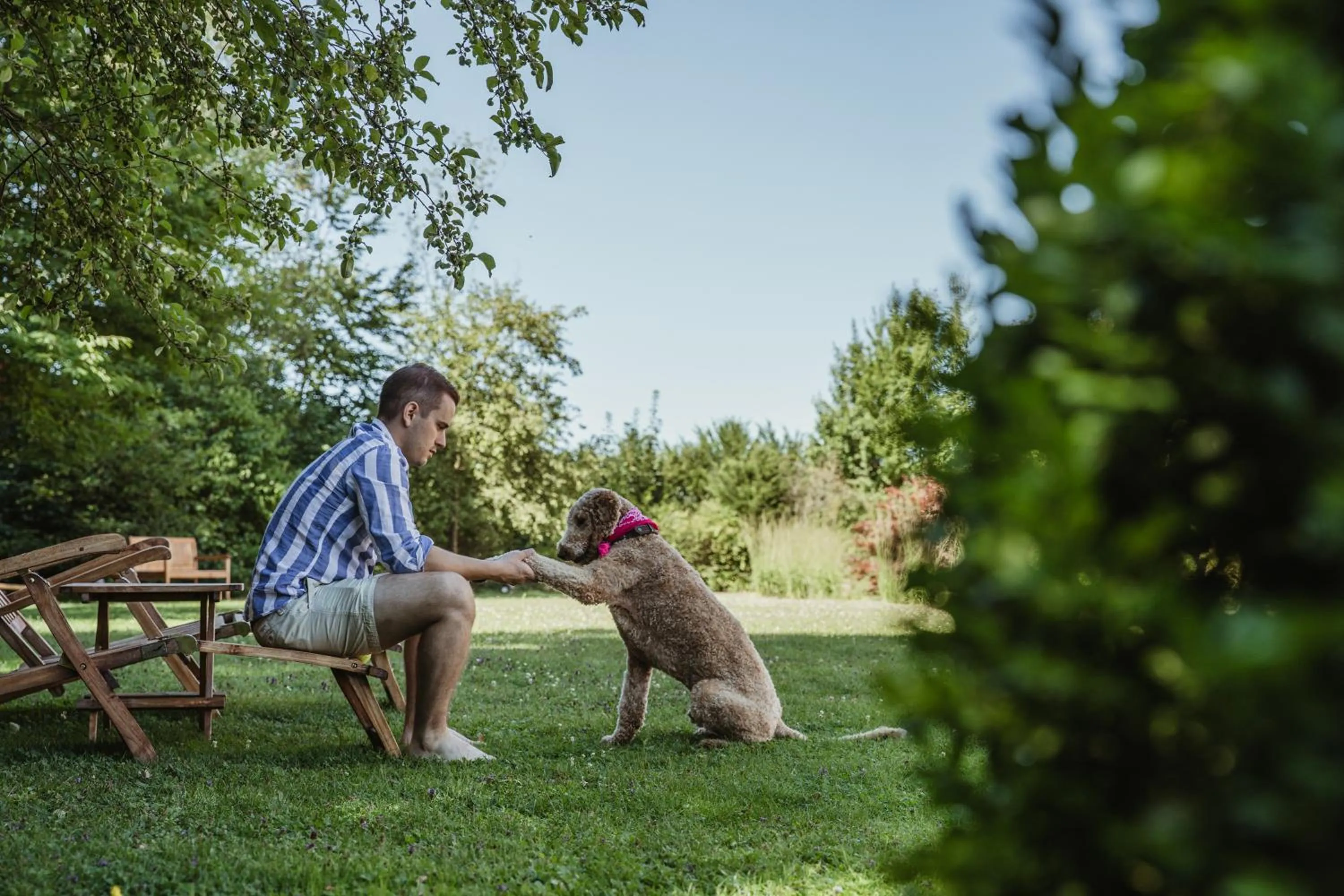 Garden in Waldhotel Stuttgart