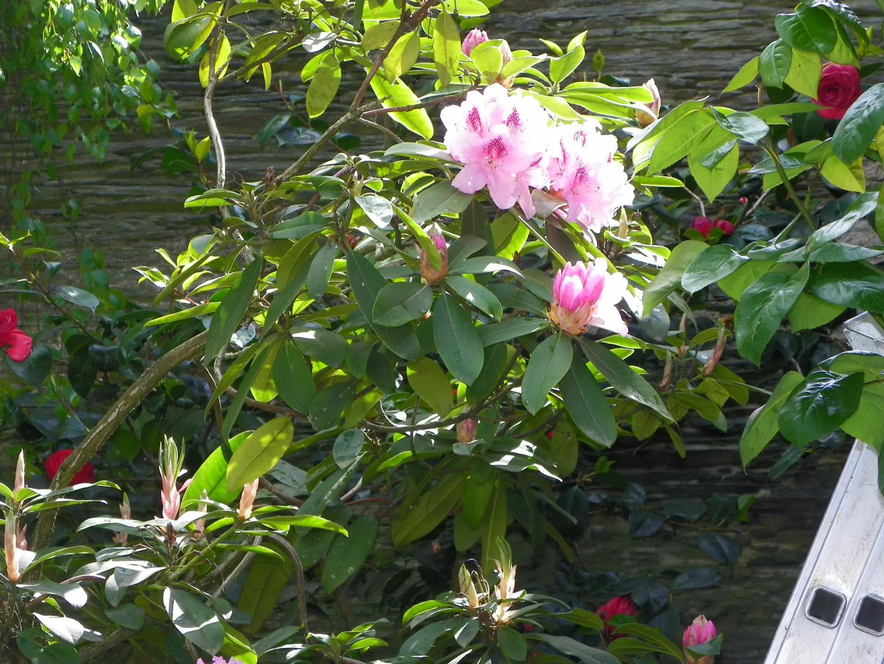 Property building in Chambres d'hôtes du Perray