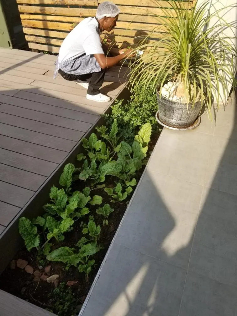 Garden in Phudzi Hotel