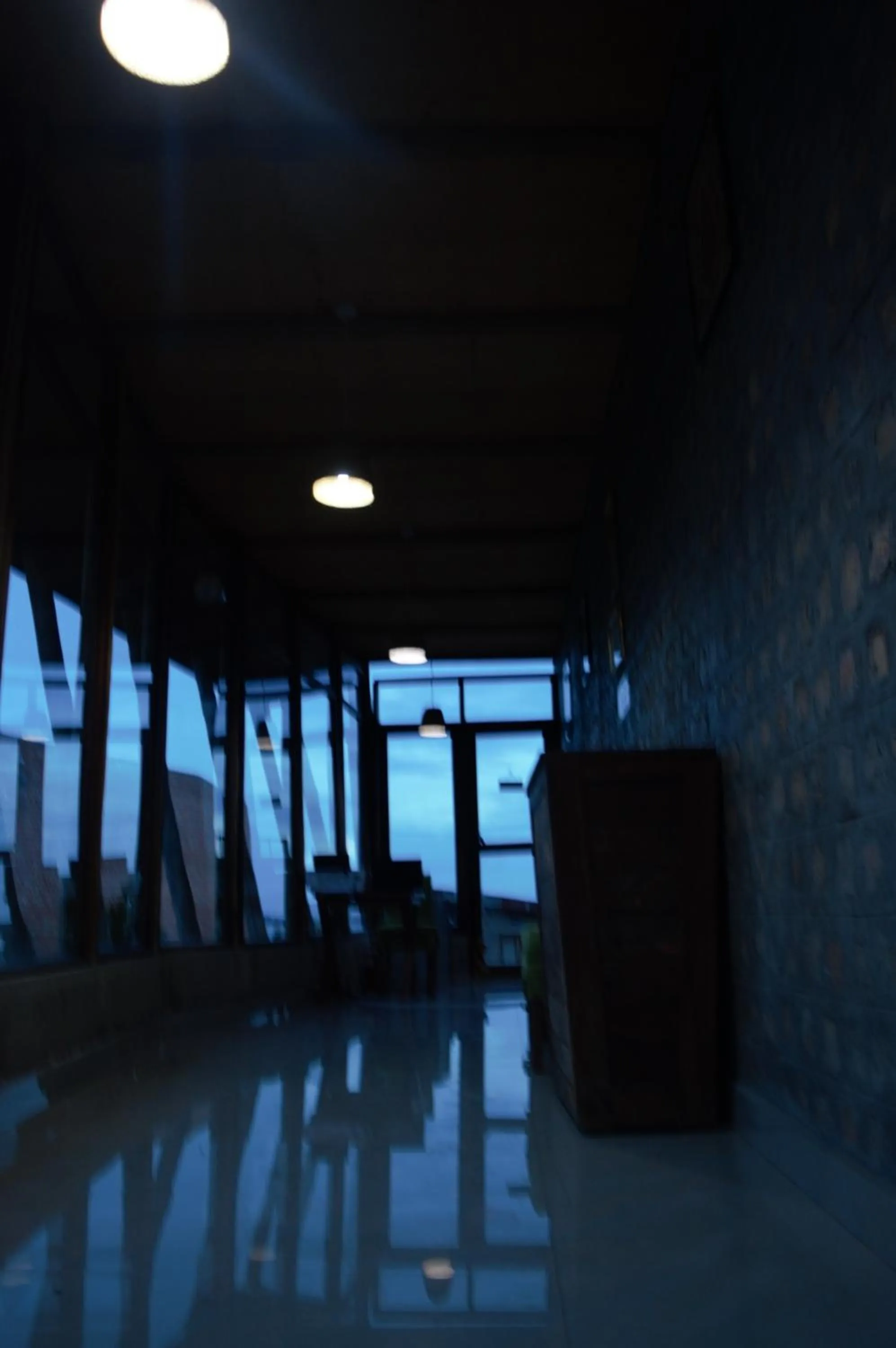 Text overlay in Buvi Lodge Limited