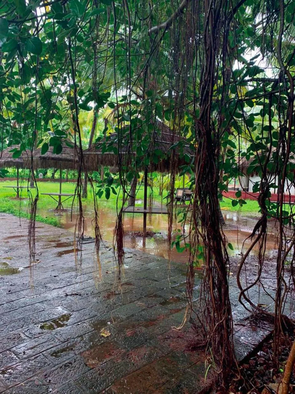 Natural landscape in Exotica Beach Retreats Diveagar