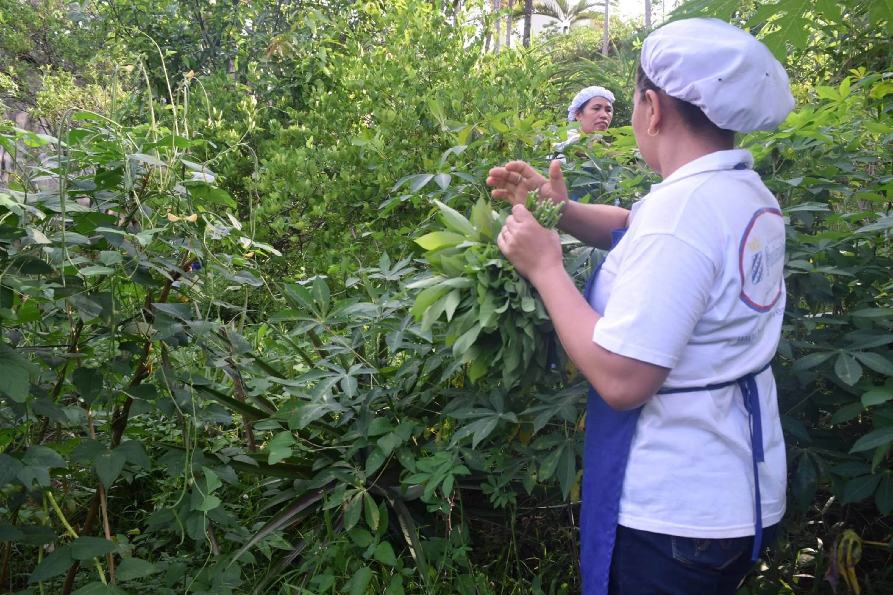 Staff in Hotel Deli River and Restaurant Omlandia