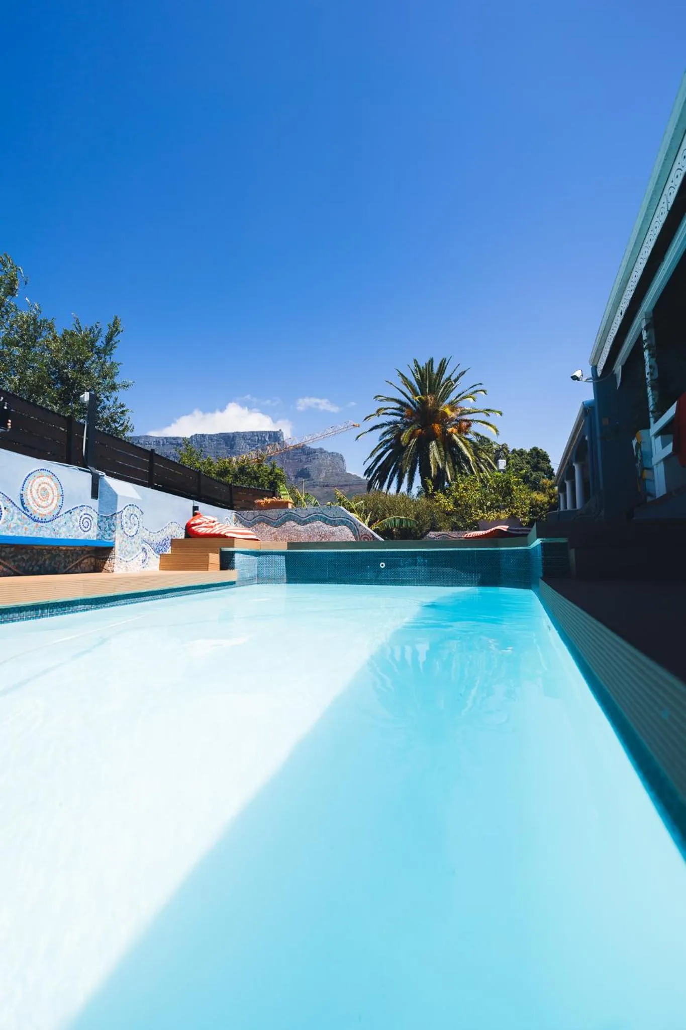 Swimming pool in Villa Viva Cape Town
