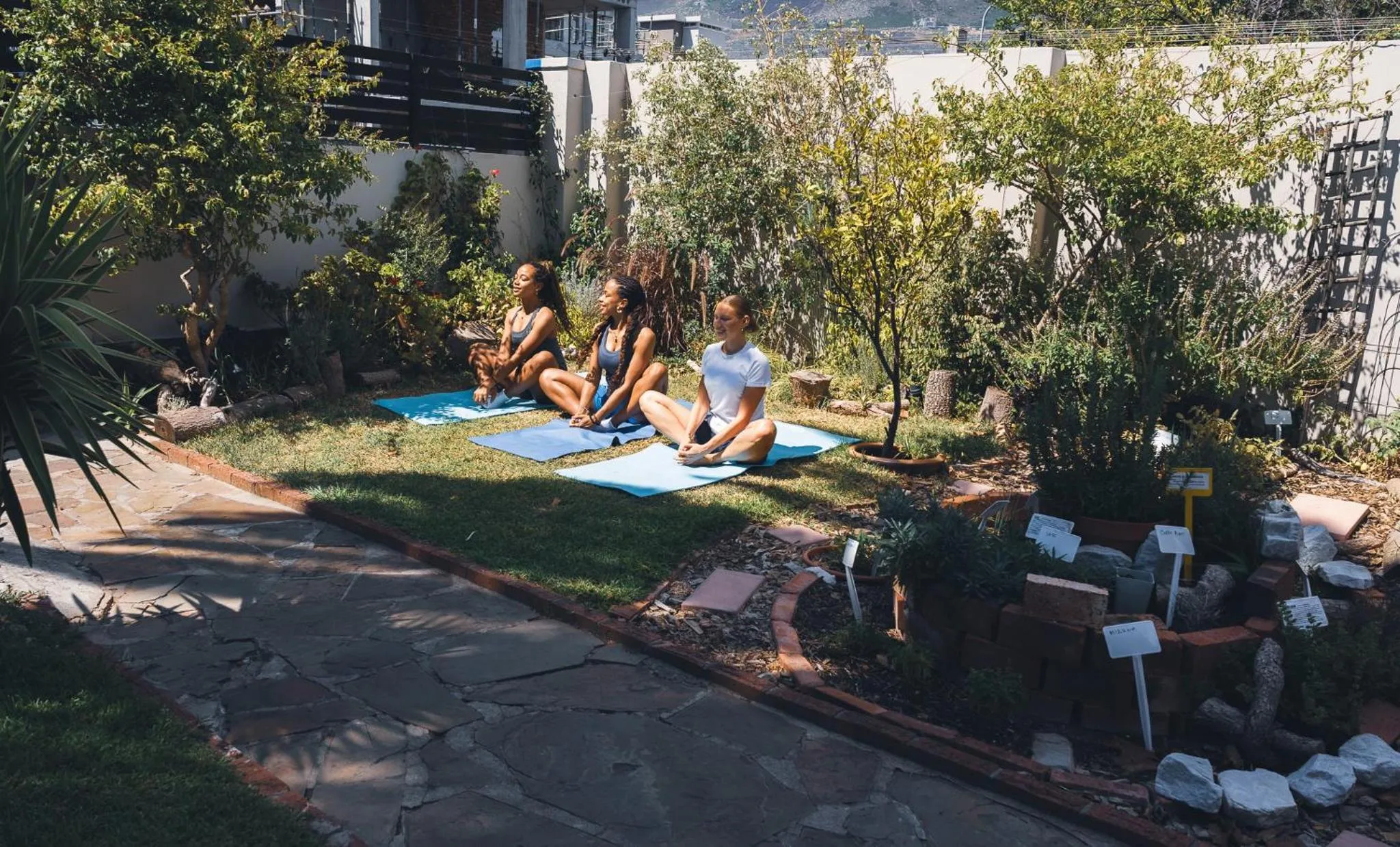 Garden in Villa Viva Cape Town