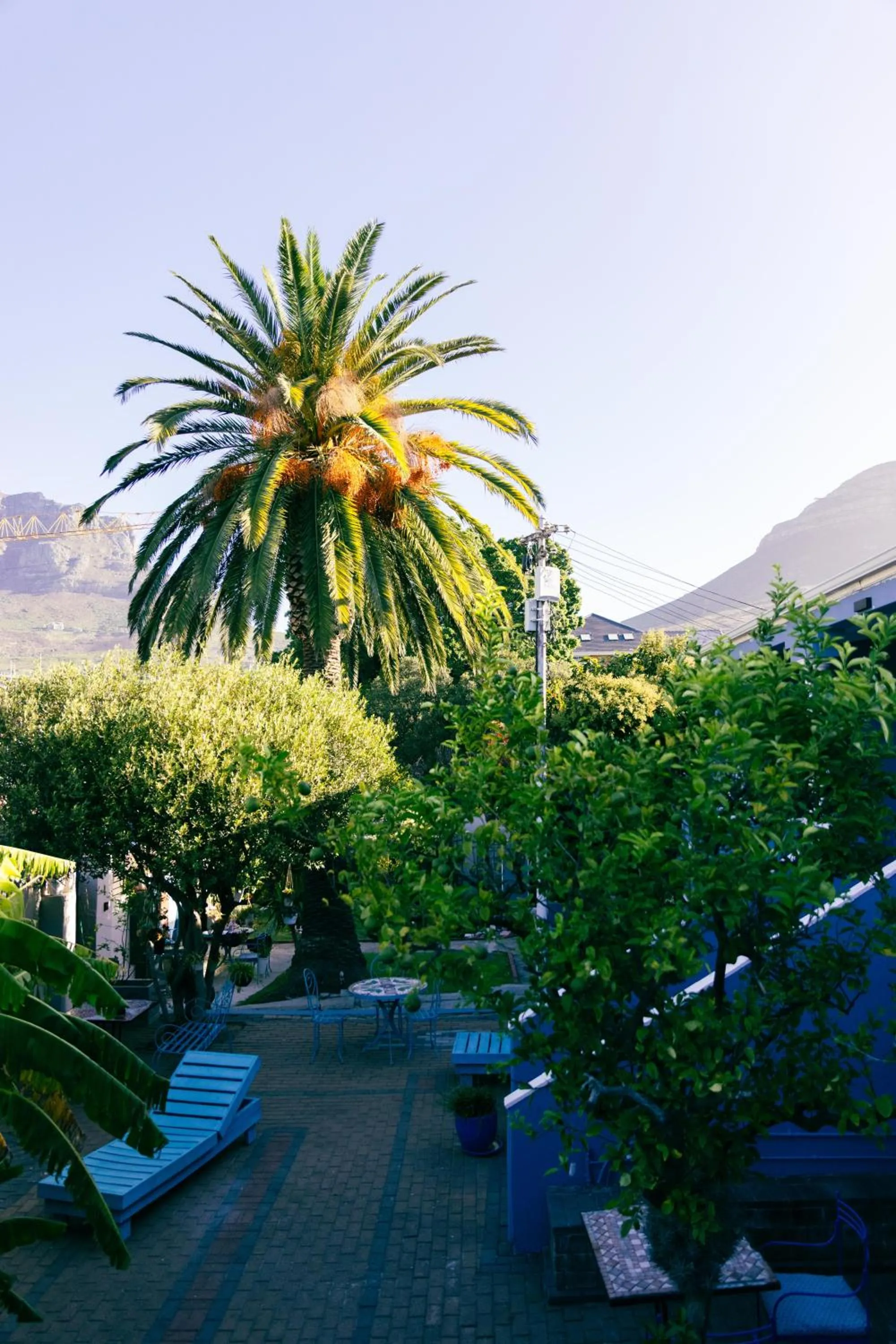 Spring in Villa Viva Cape Town