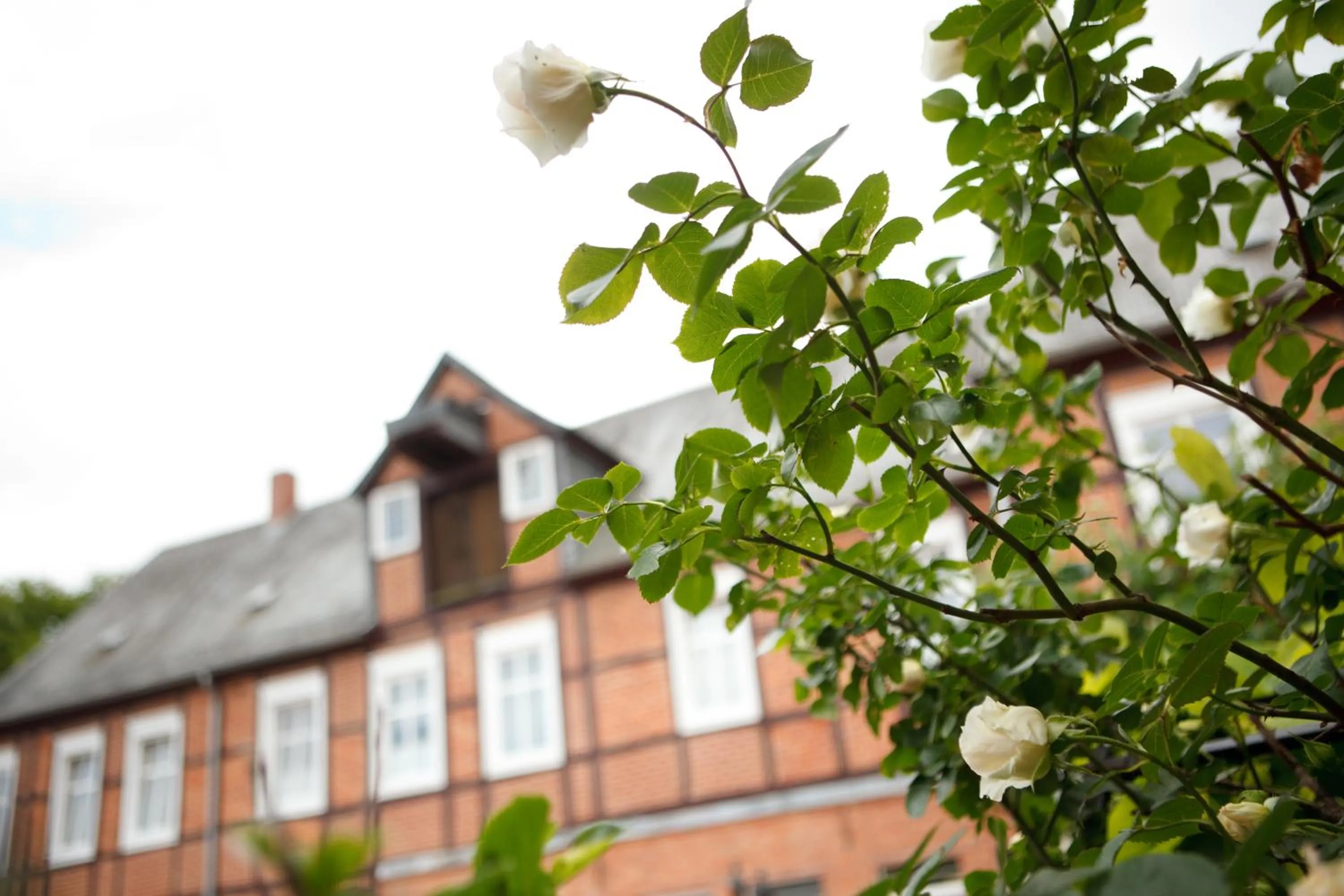 Property building in Landhotel Zum Pottkuchen