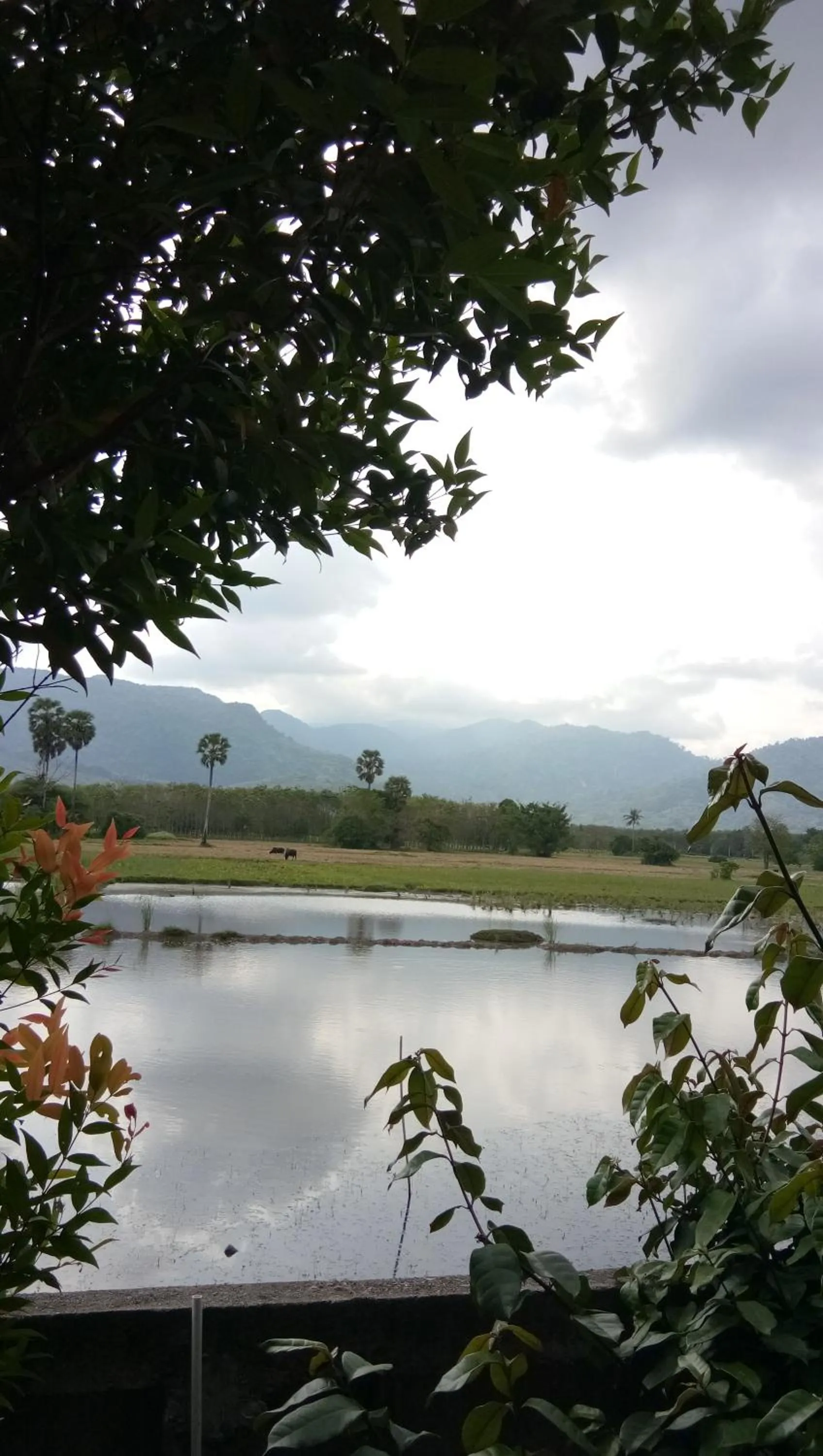 4 seasons mini house