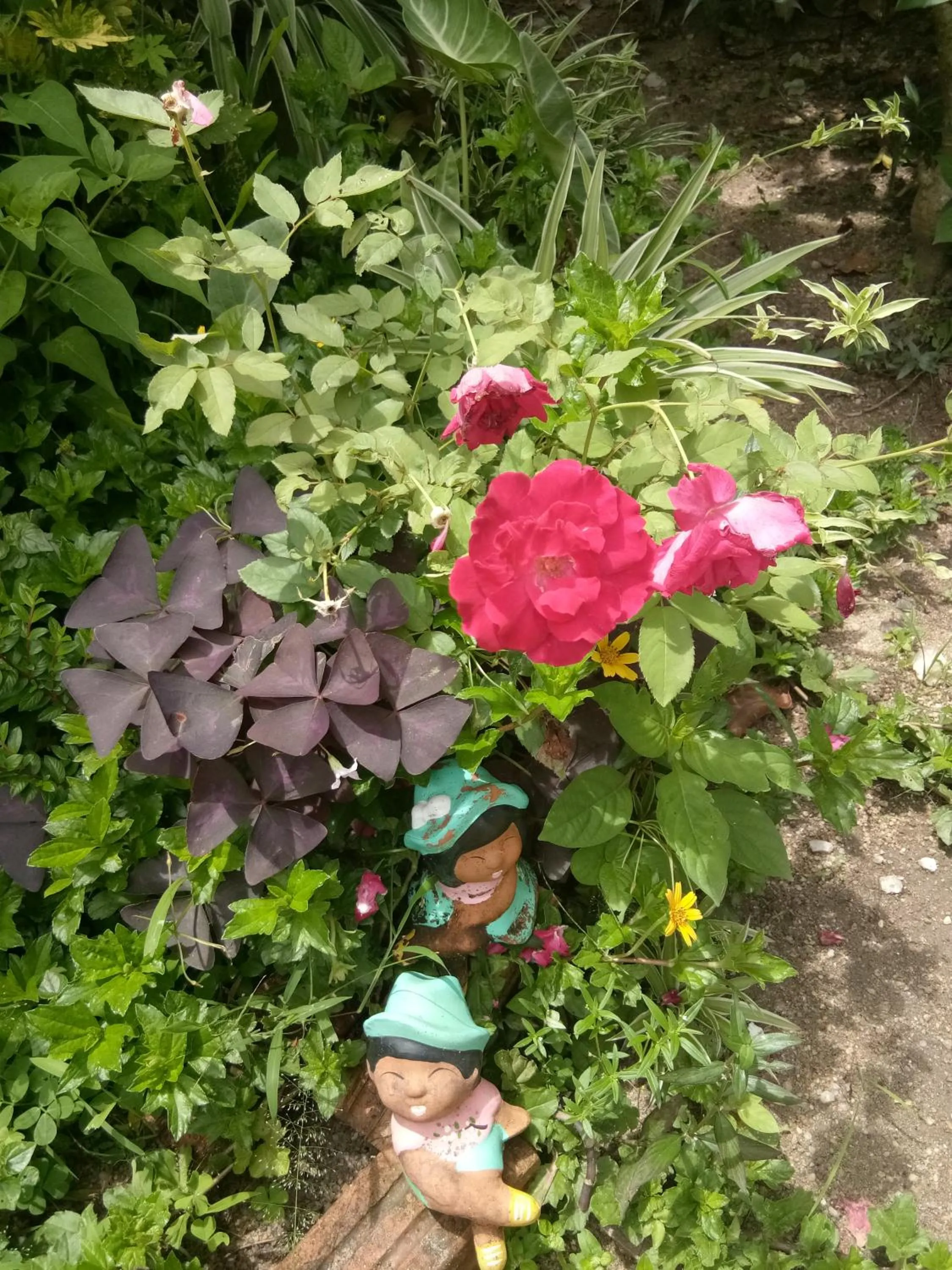 4 seasons mini house