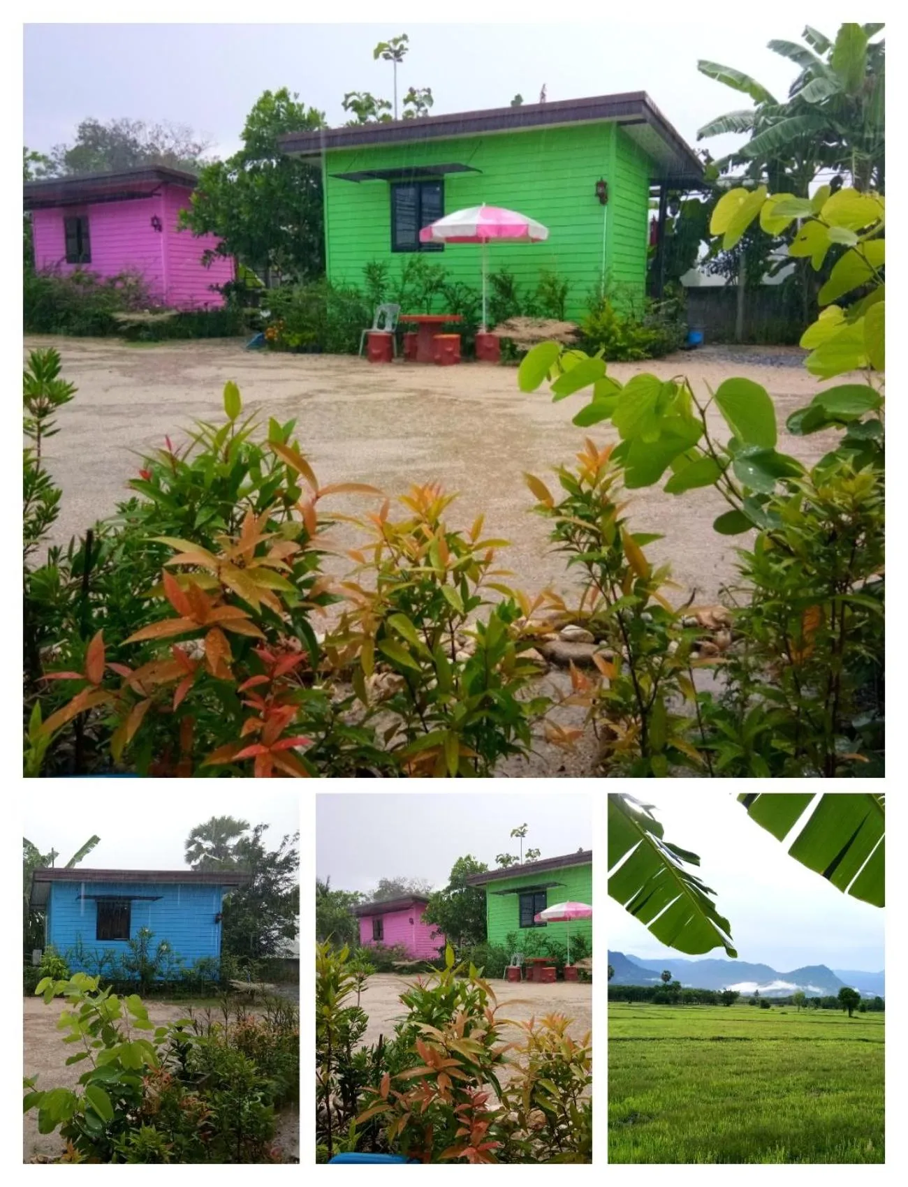 4 seasons mini house