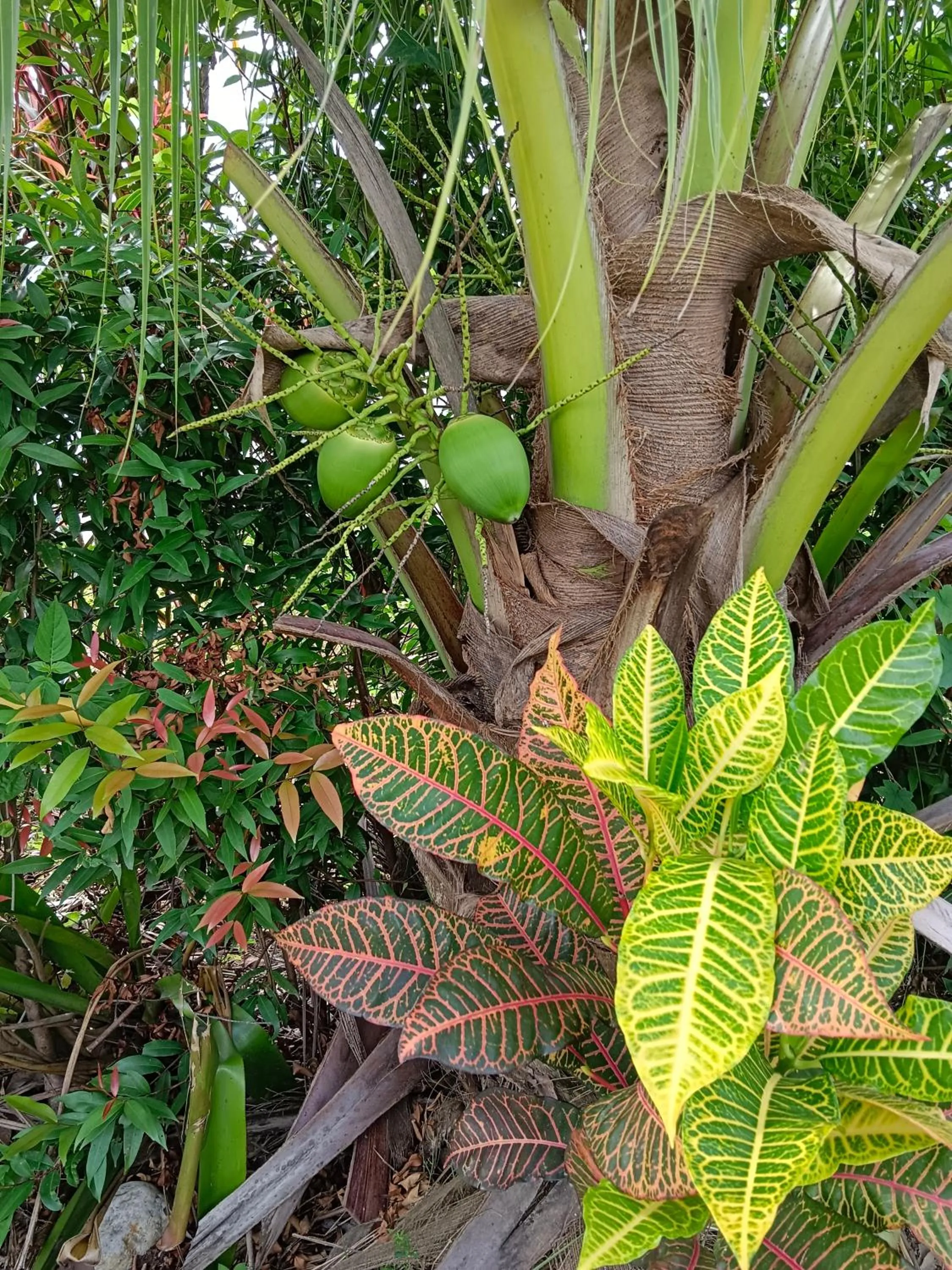 4 seasons mini house