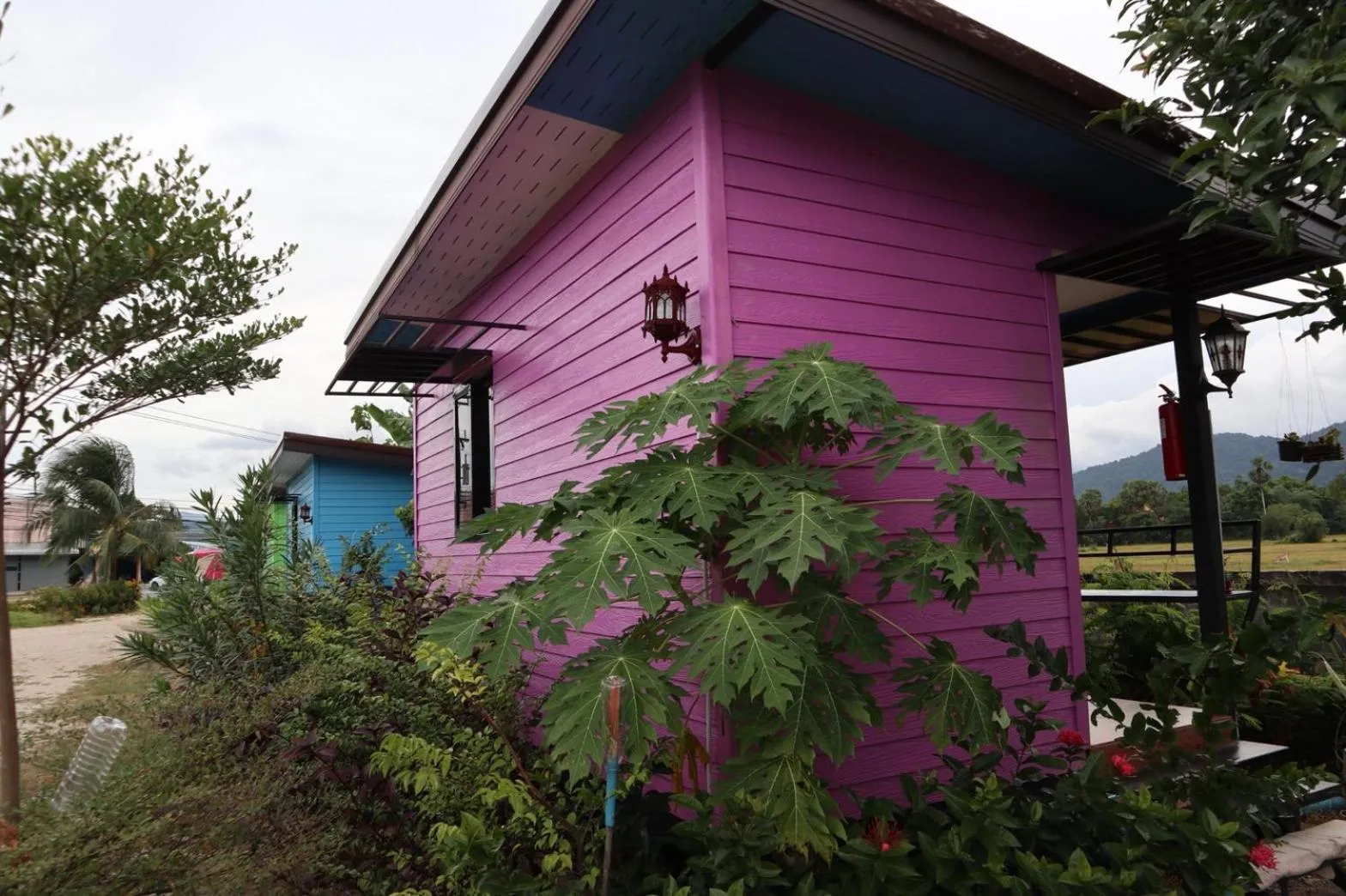 4 seasons mini house