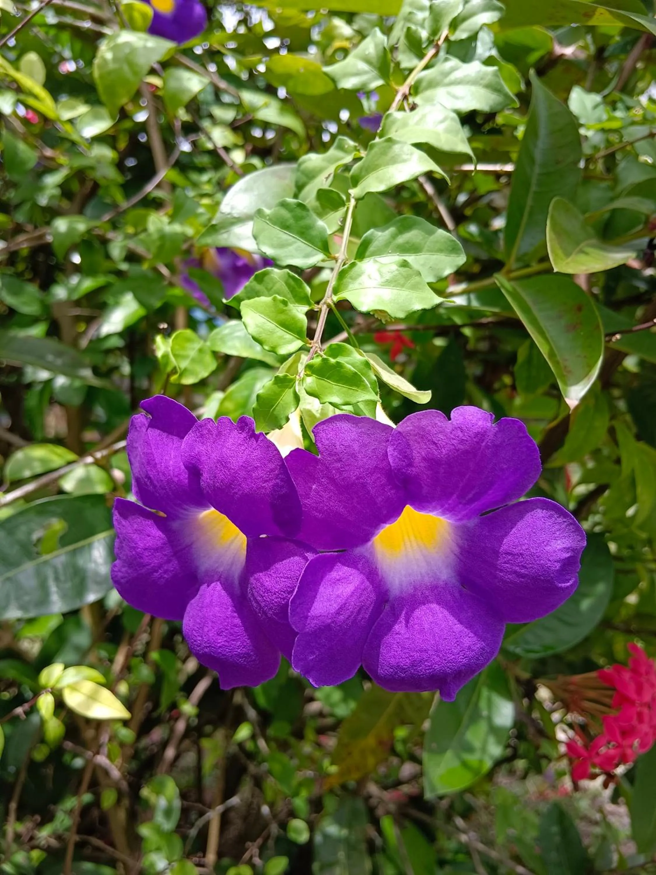 4 seasons mini house