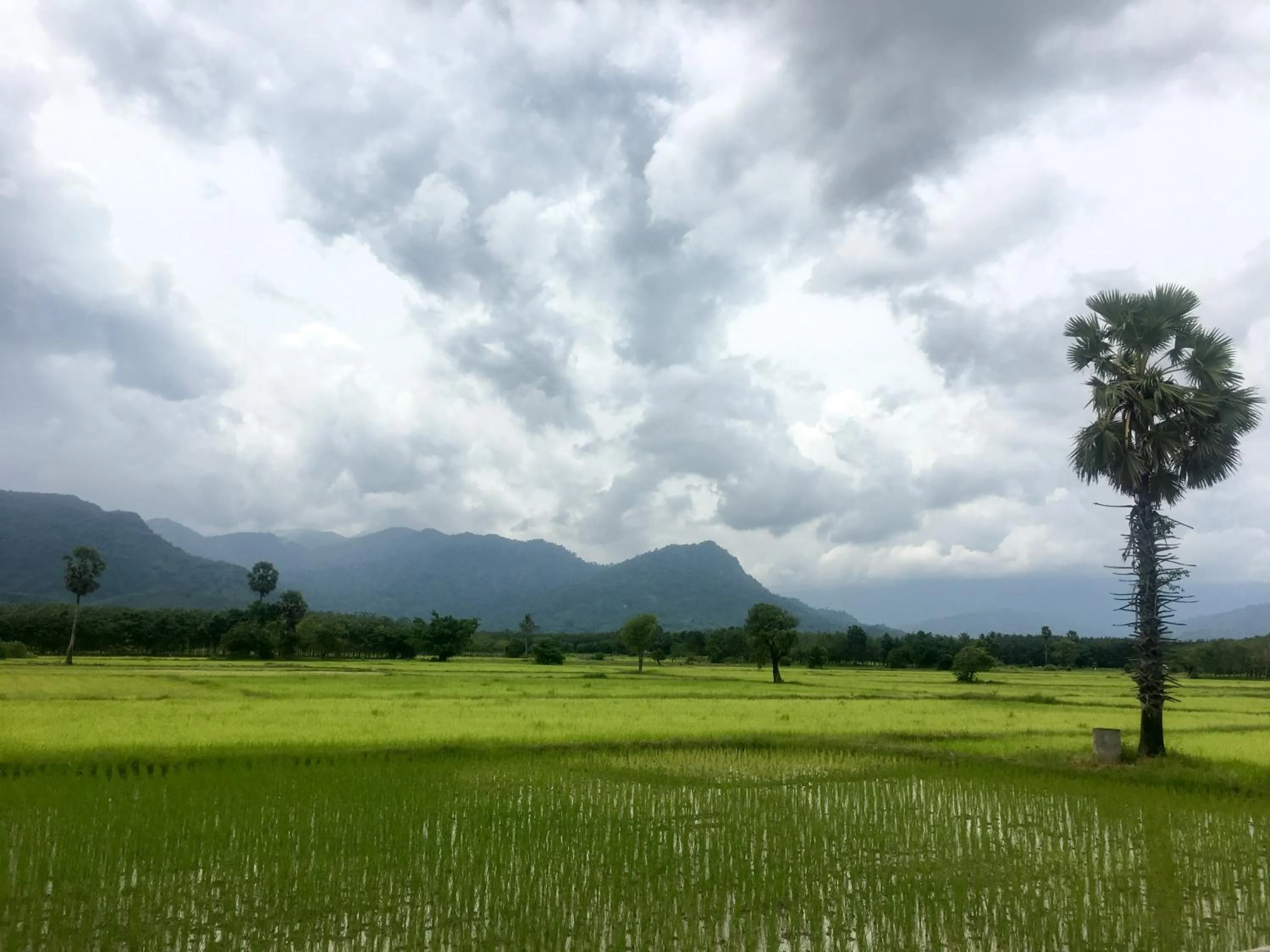 Property building in 4 seasons mini house