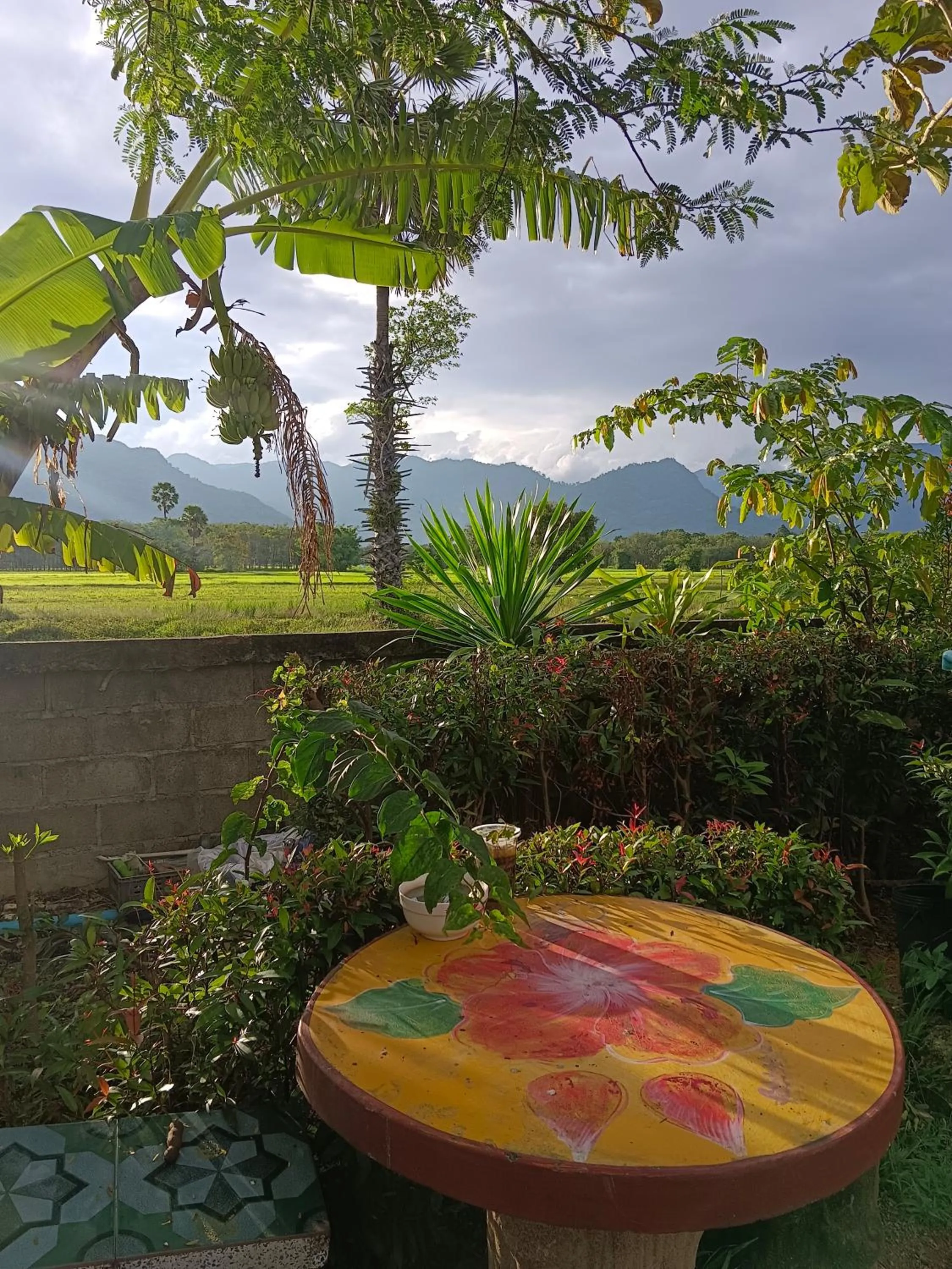 4 seasons mini house