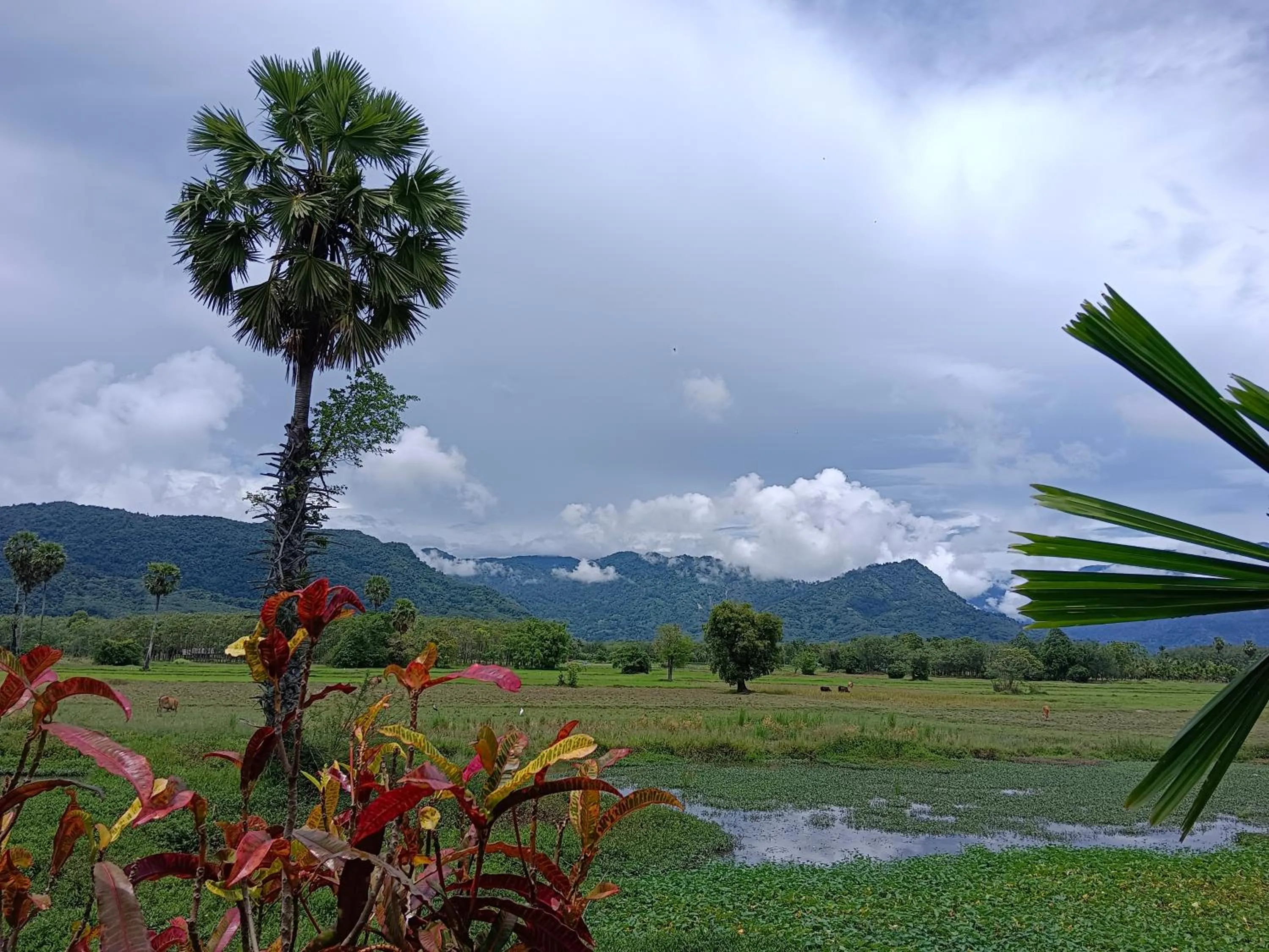 4 seasons mini house