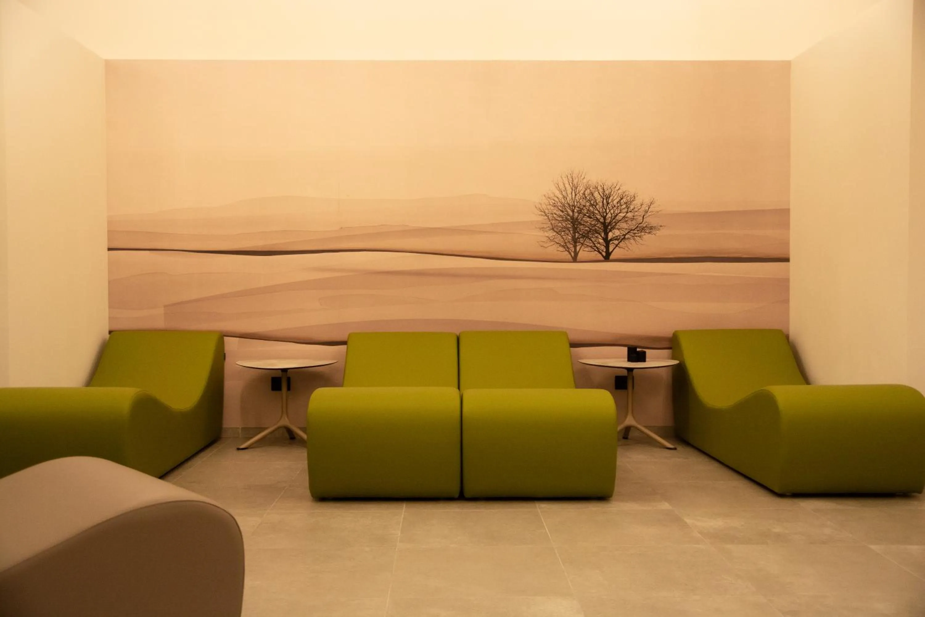 Spa and wellness centre/facilities in TH La Thuile - Planibel Hotel