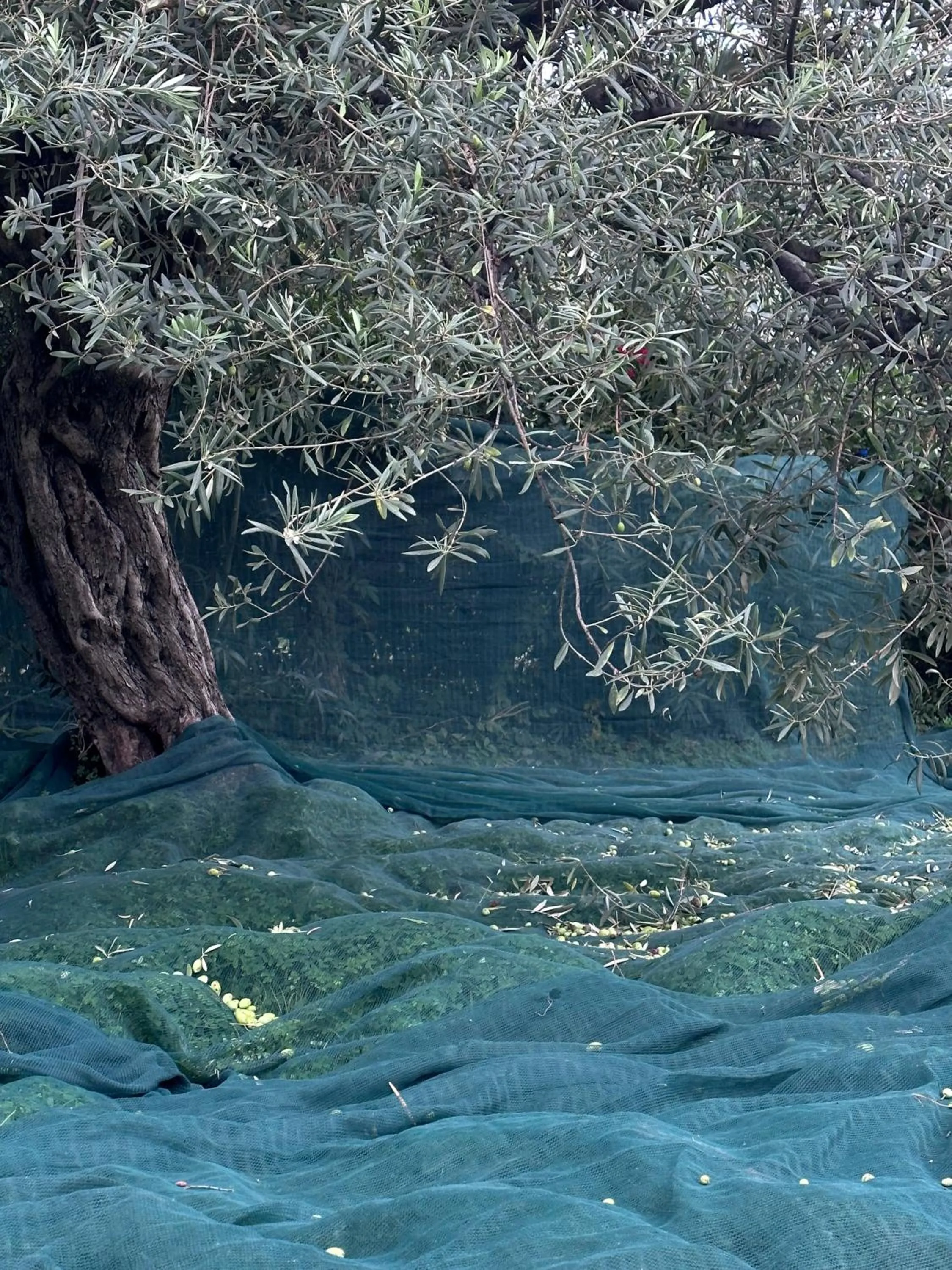 Natural landscape in Casale Romano Resort e Relais