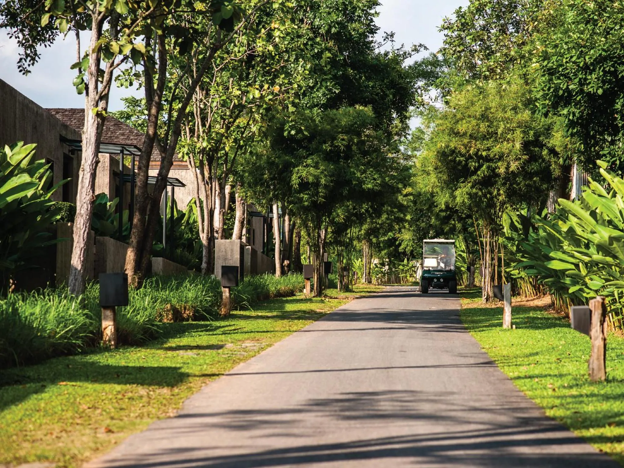 View (from property/room) in MUTHI MAYA Forest Pool Villa Resort - SHA Plus Certified