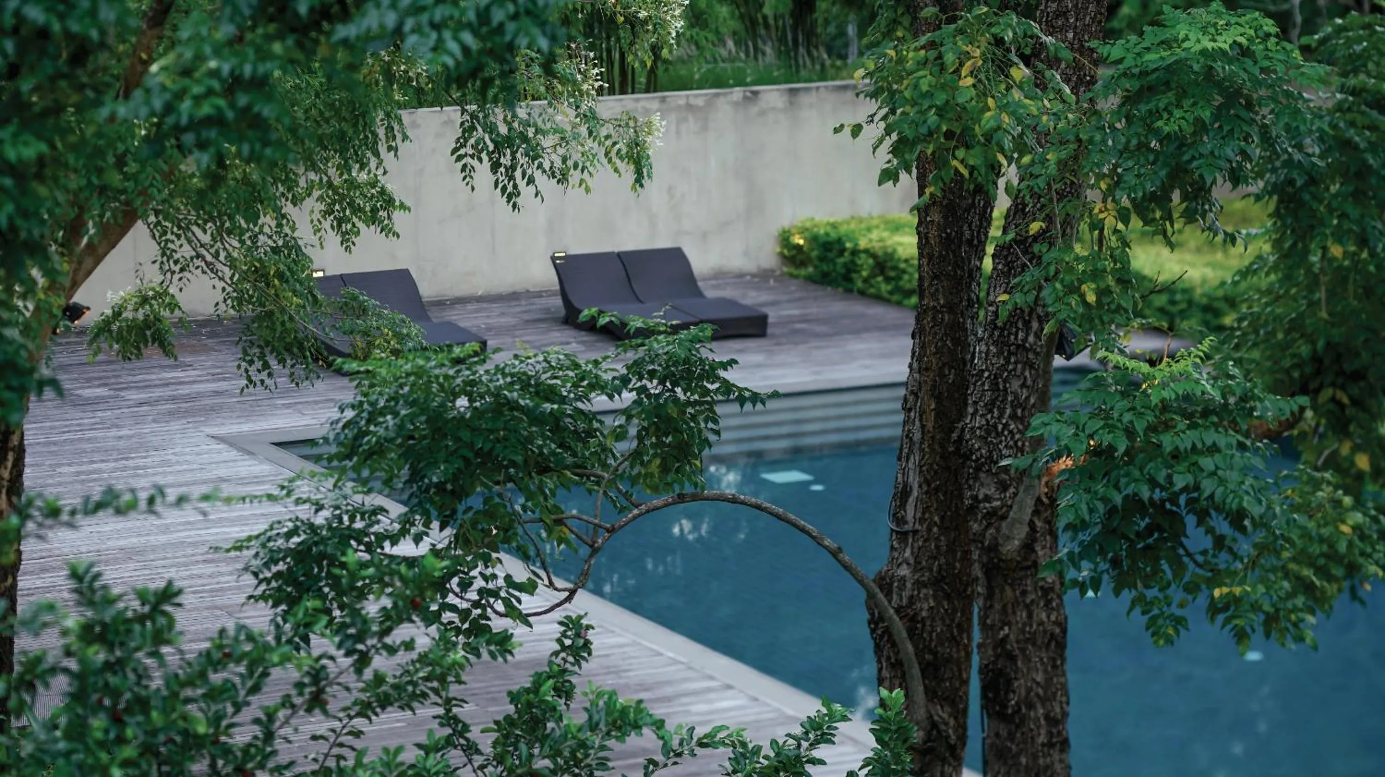 Pool view in MUTHI MAYA Forest Pool Villa Resort - SHA Plus Certified