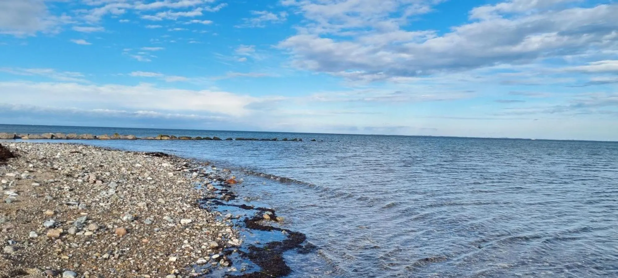Natural landscape in Appartementhaus Ostseeresidenz