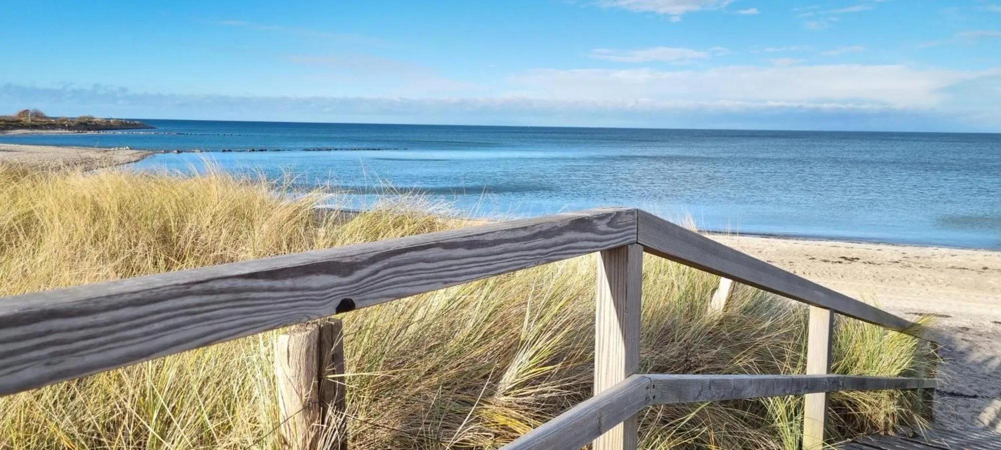 Natural landscape in Appartementhaus Ostseeresidenz