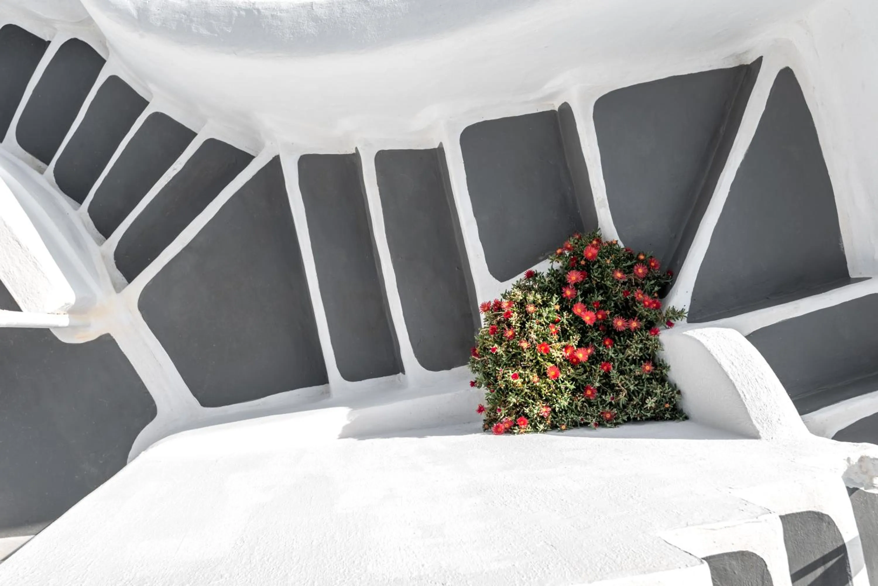 Patio, Bed in Caldera Premium Villas