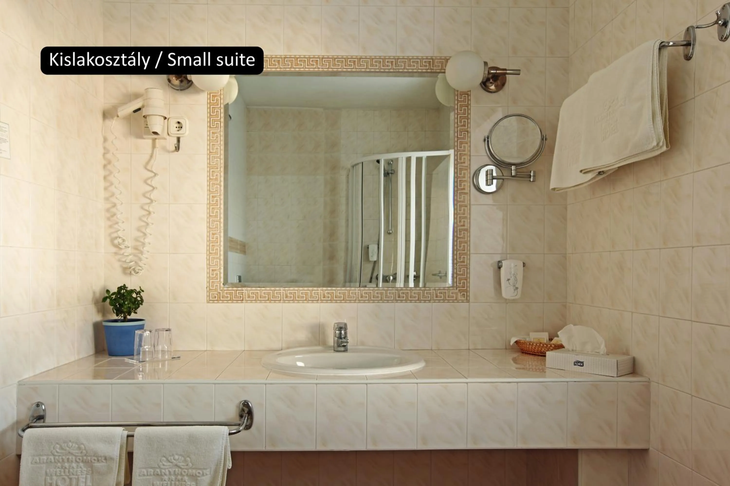 Bathroom in Aranyhomok Hotel Business & Relax