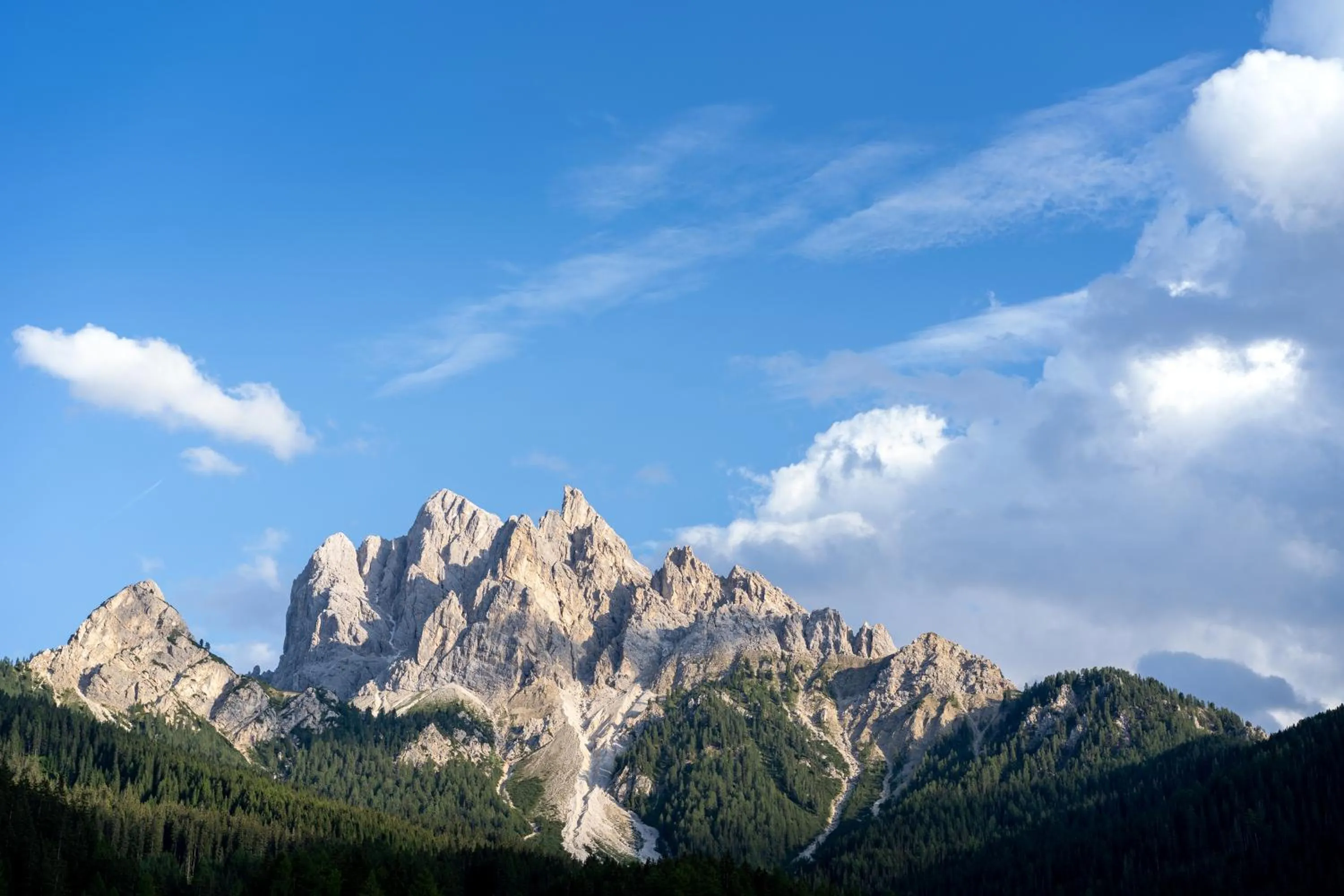 Natural landscape in Hotel Asterbel