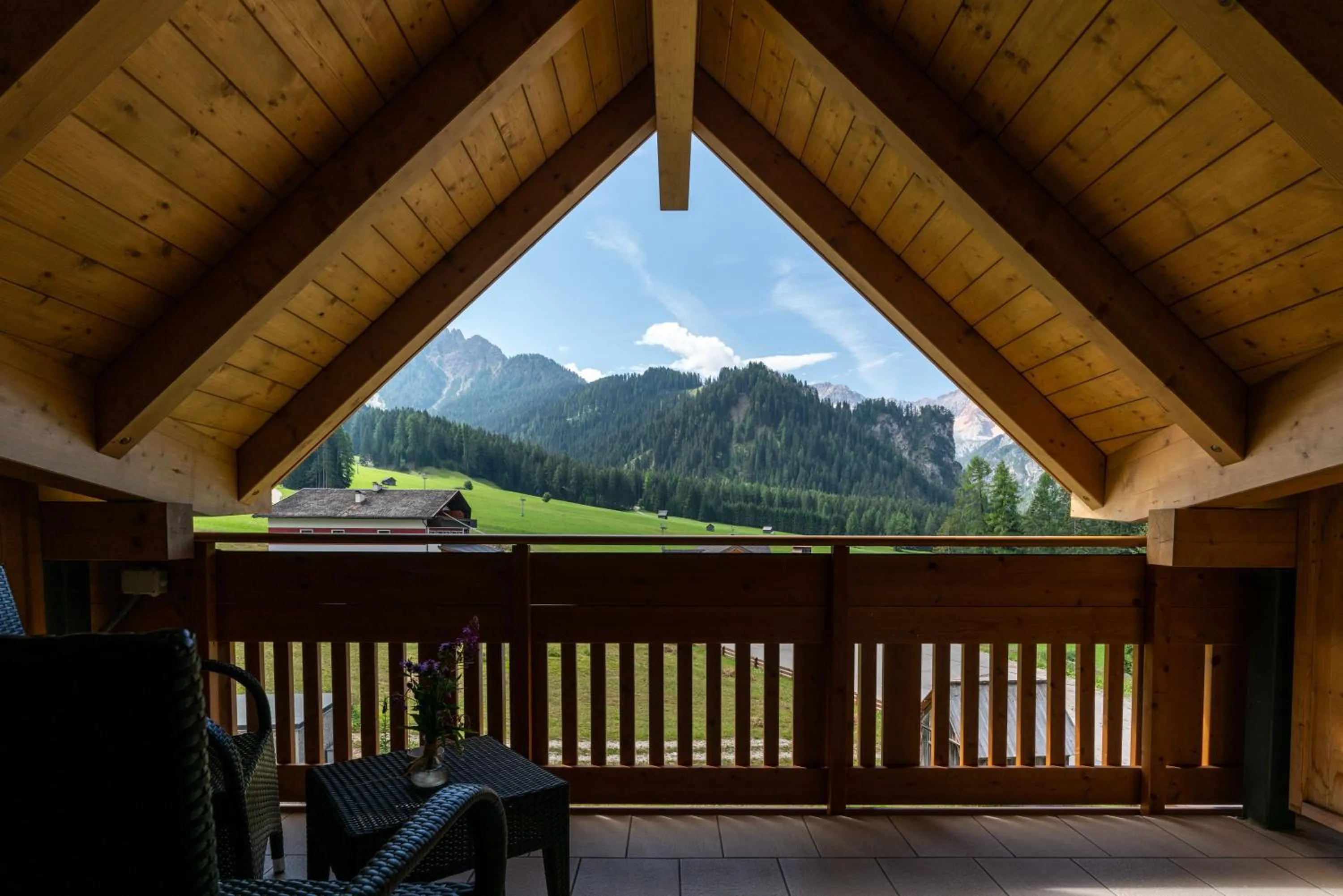 Balcony/Terrace in Hotel Asterbel